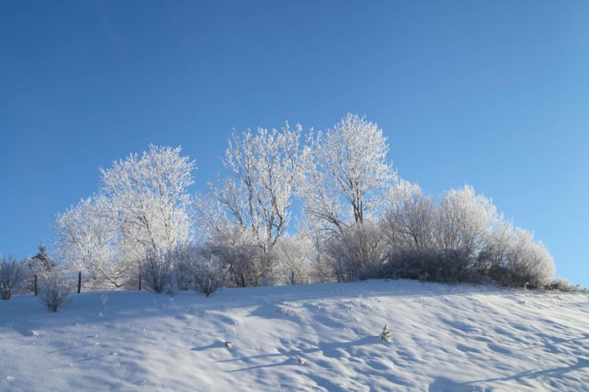 O CHALET-Gebiet Winter 20 km