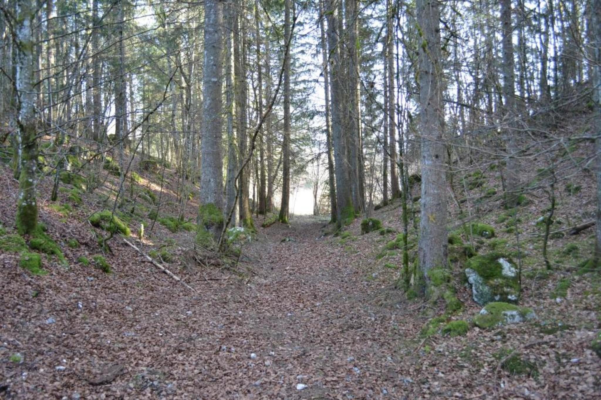 O CHALET-Gebiete Sommer 20 km