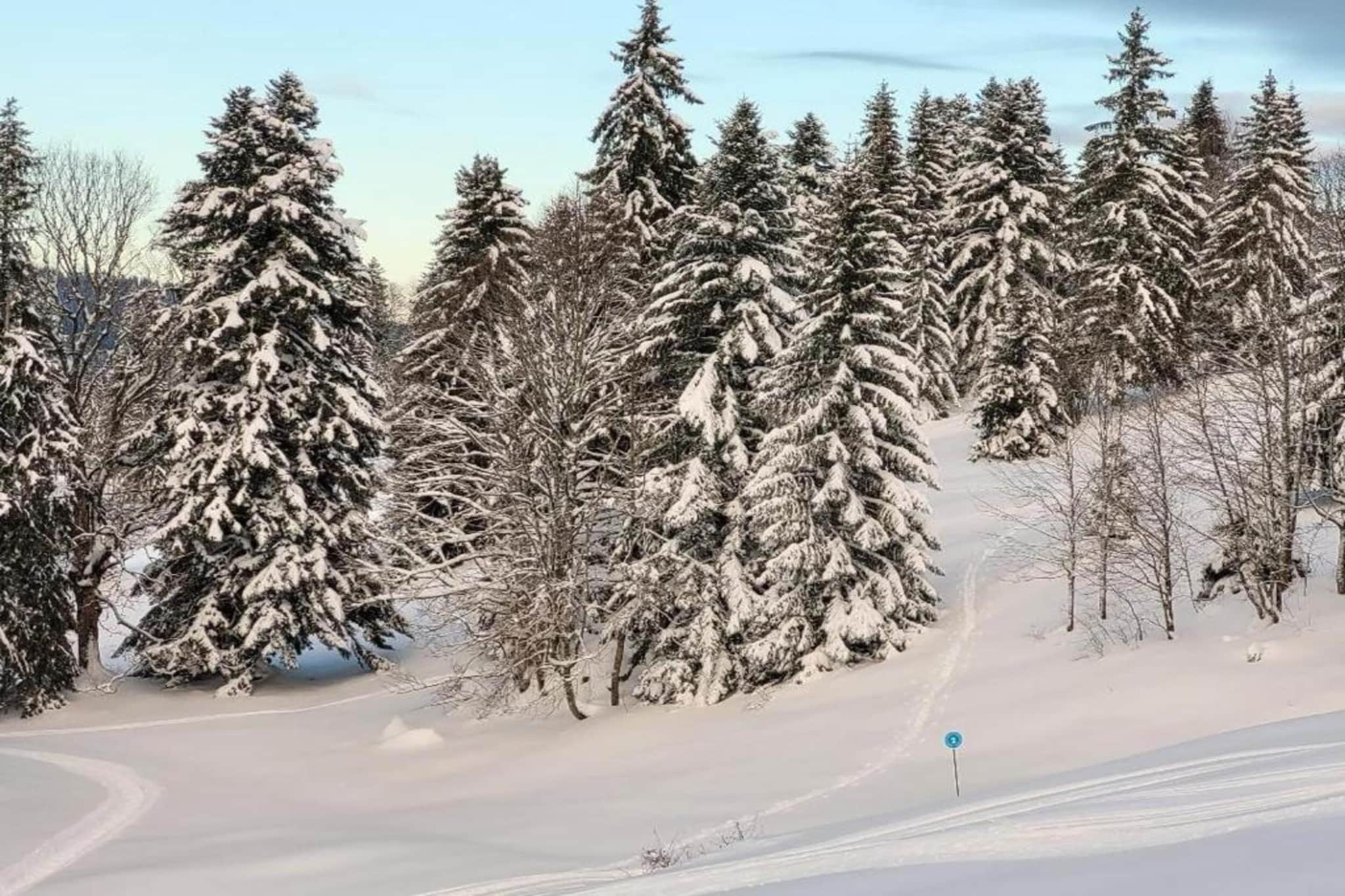O CHALET-Gebiet Winter 20 km