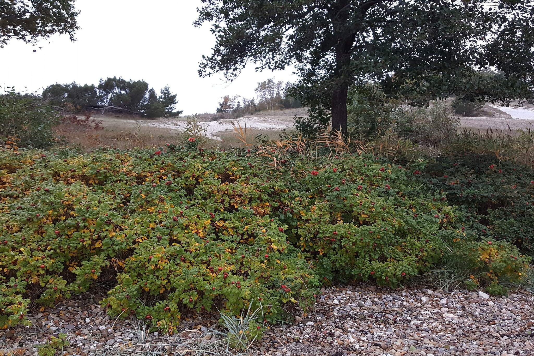 8 person holiday home in Børkop-Untagged