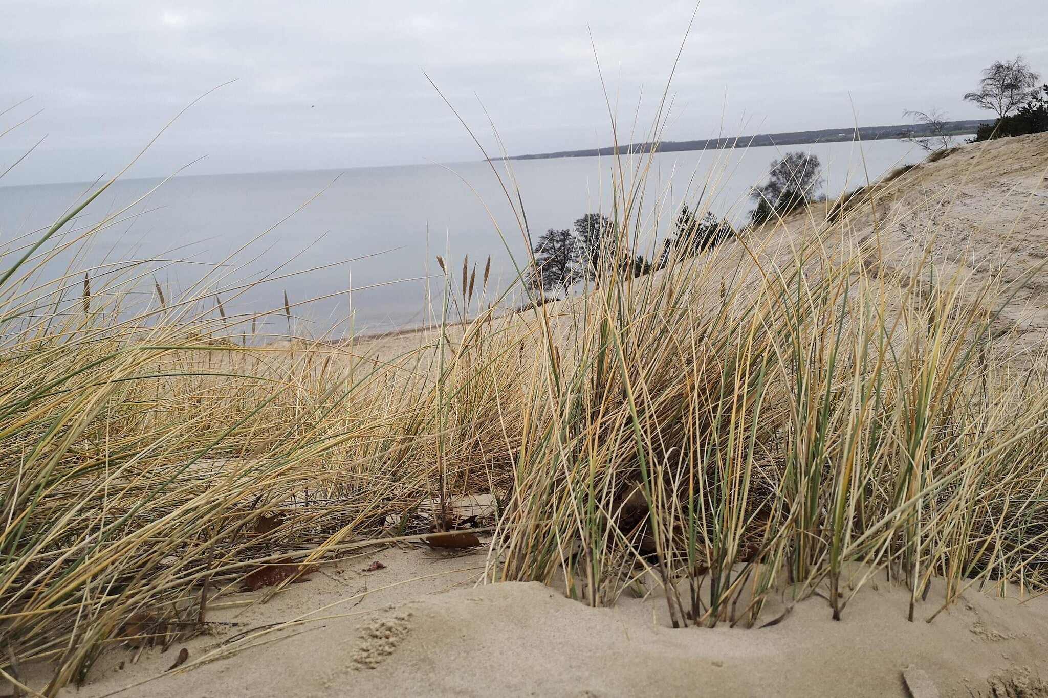 8 person holiday home in Børkop-Water view