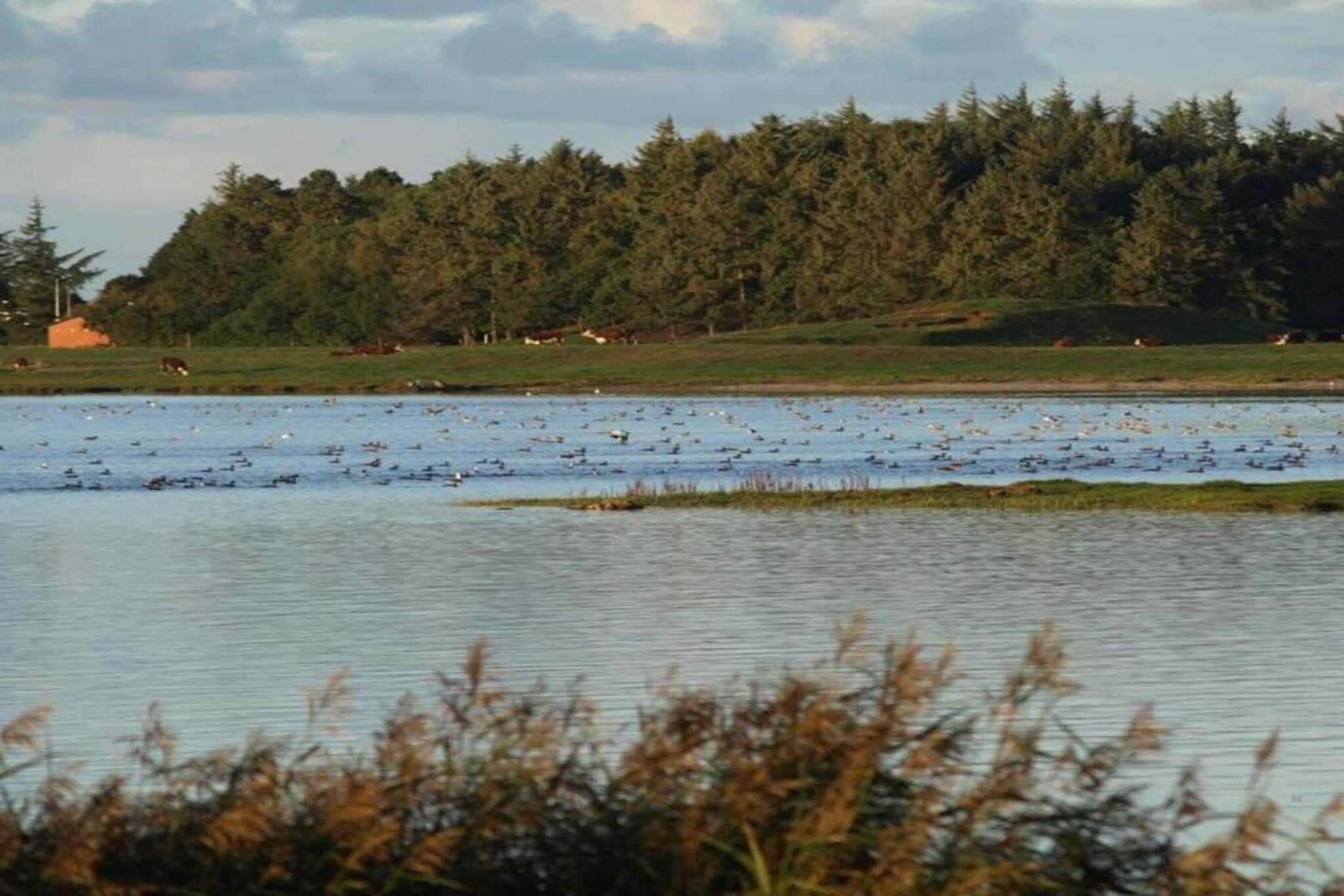 Gezellige Kusthut Rustplaats-By Traum-Waterzicht