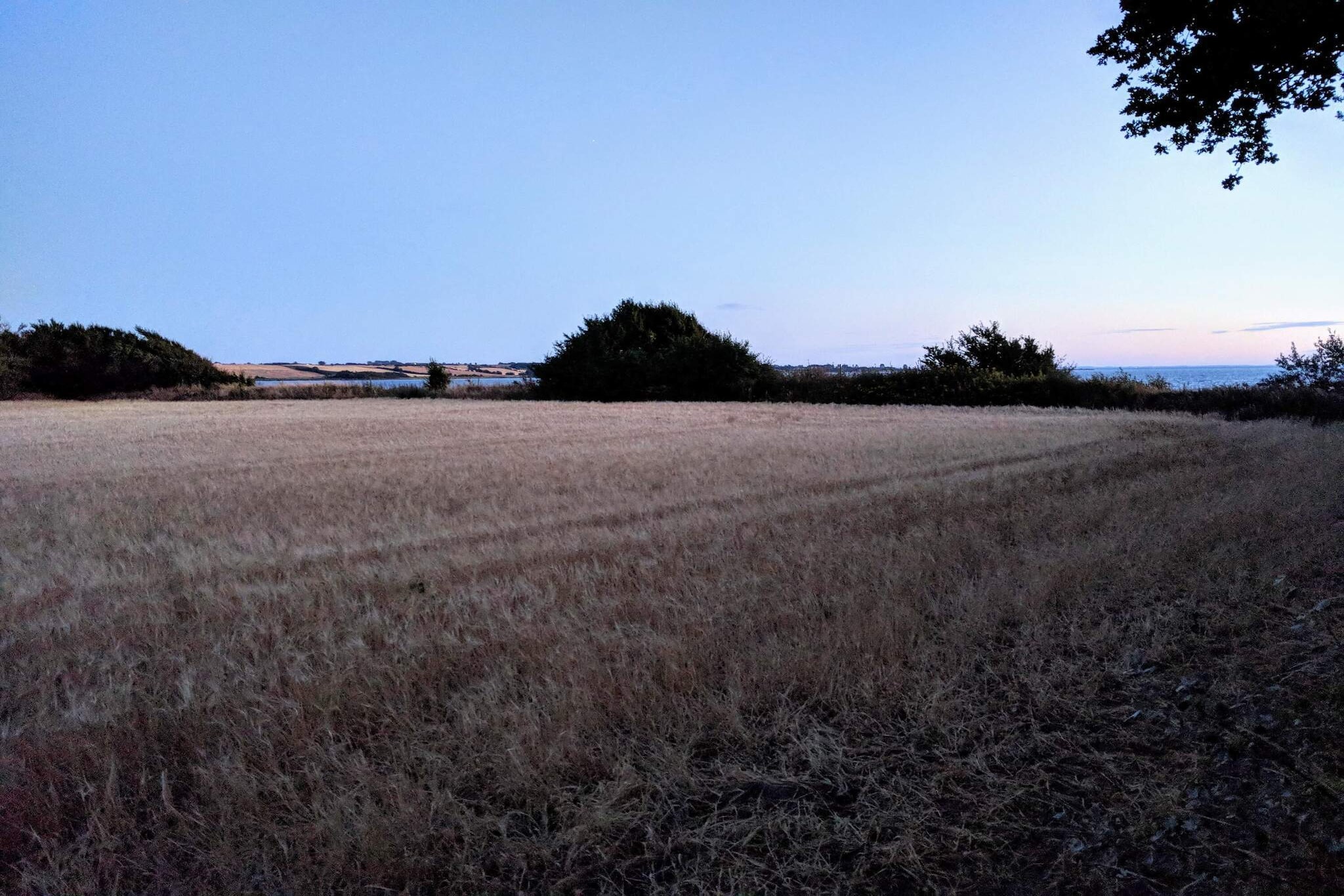 Seaside Serenity in Faldsled-By Traum-Untagged