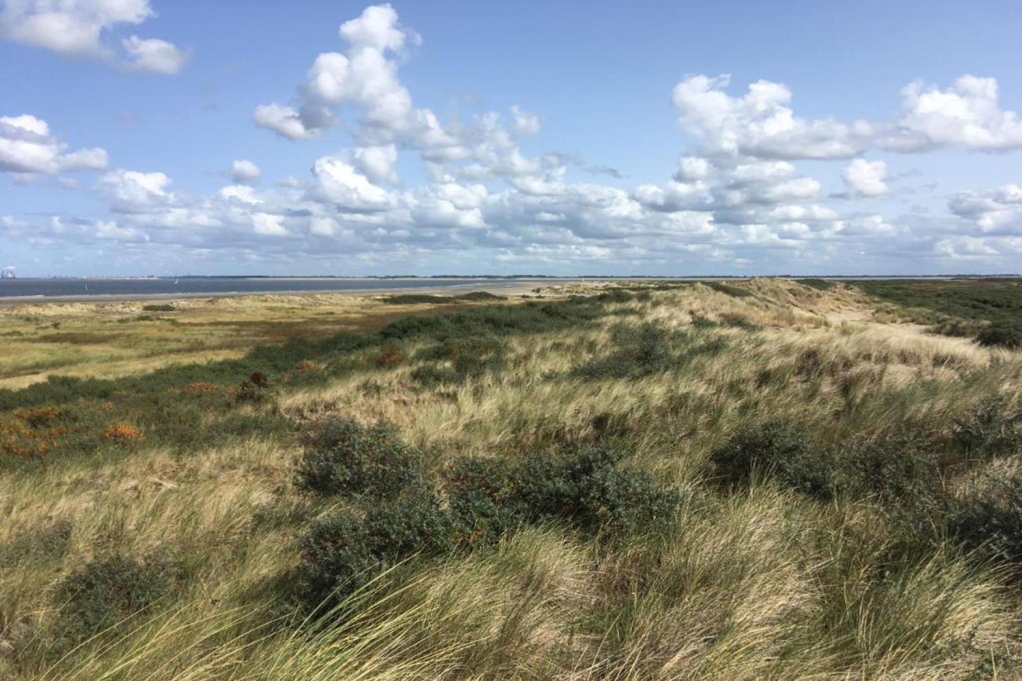 Chalet Sea Rocks-Gebieden zomer 20km