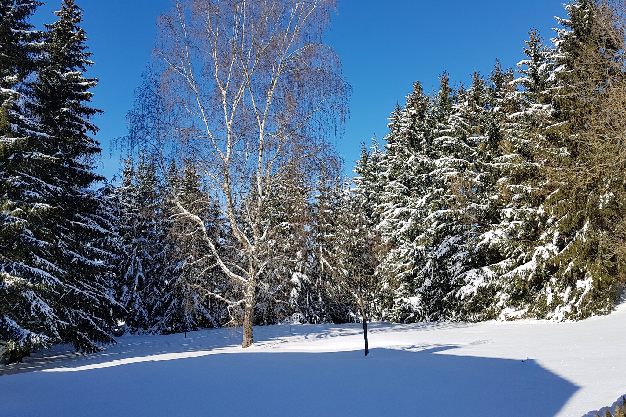 Ferienwohnung in Benneckenstein