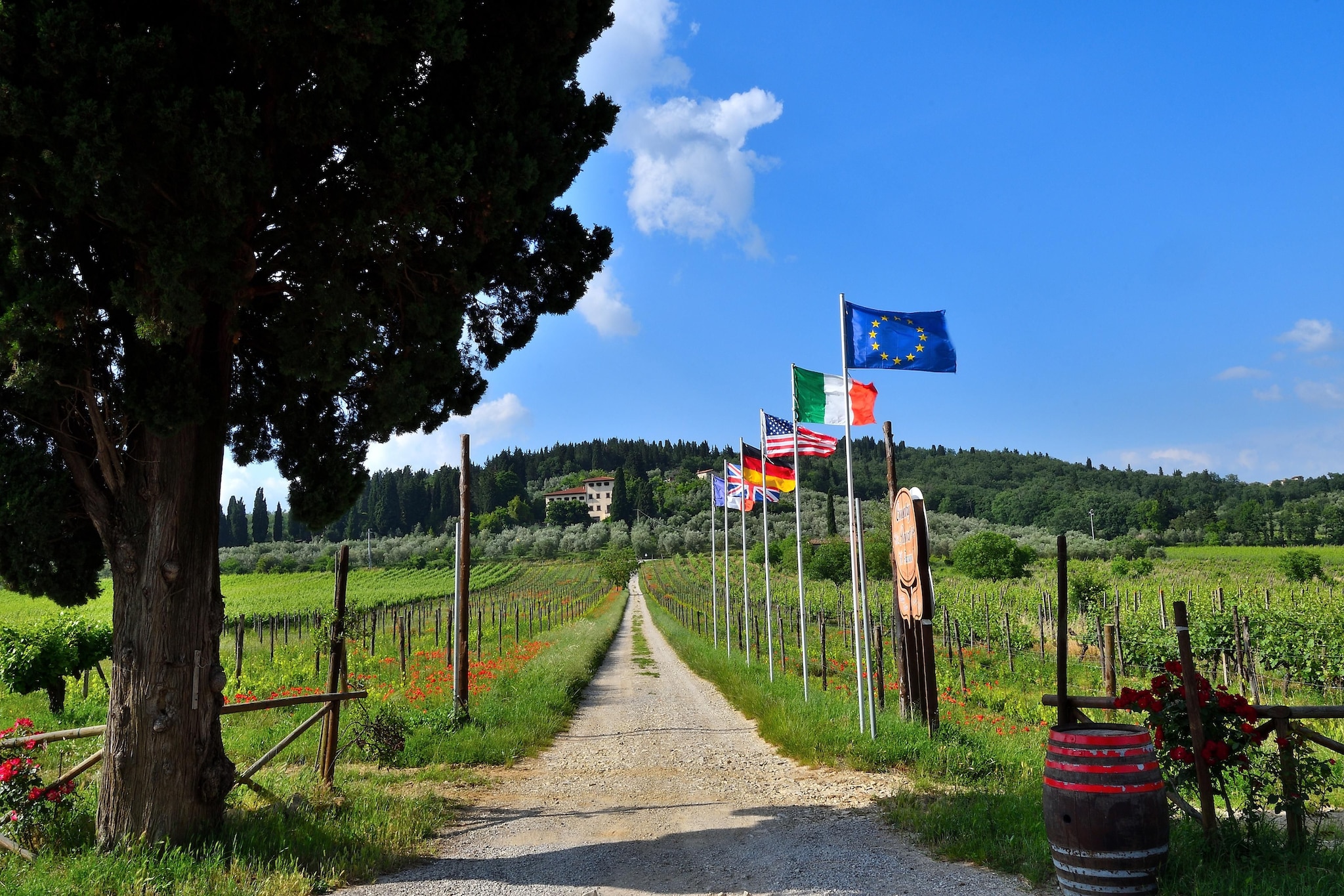 Villa Il Frassine-Vue d'été
