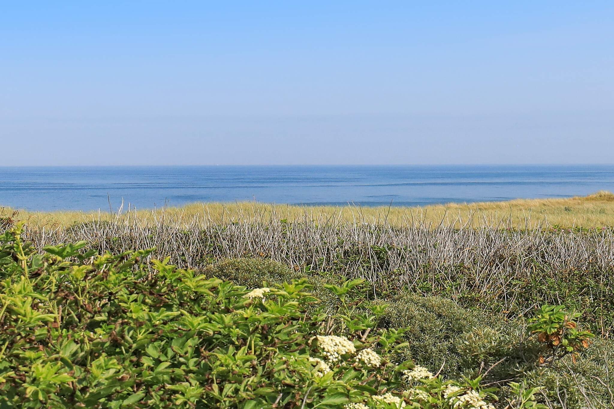 Serenite en bord de mer a Nr. Lyngby-By Traum - Vue sur l'eau