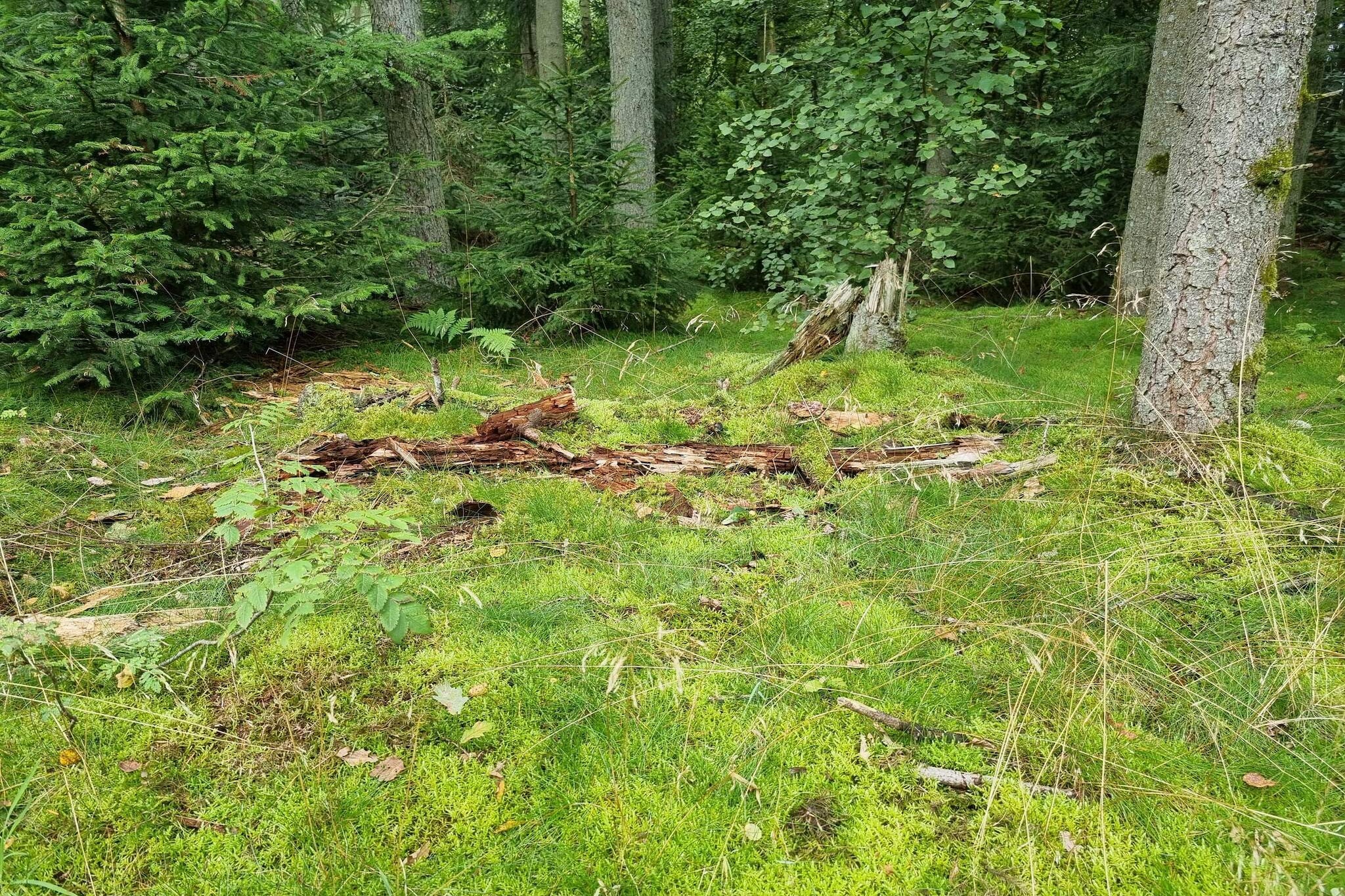 6 persoons vakantie huis in Bryrup-Niet-getagd