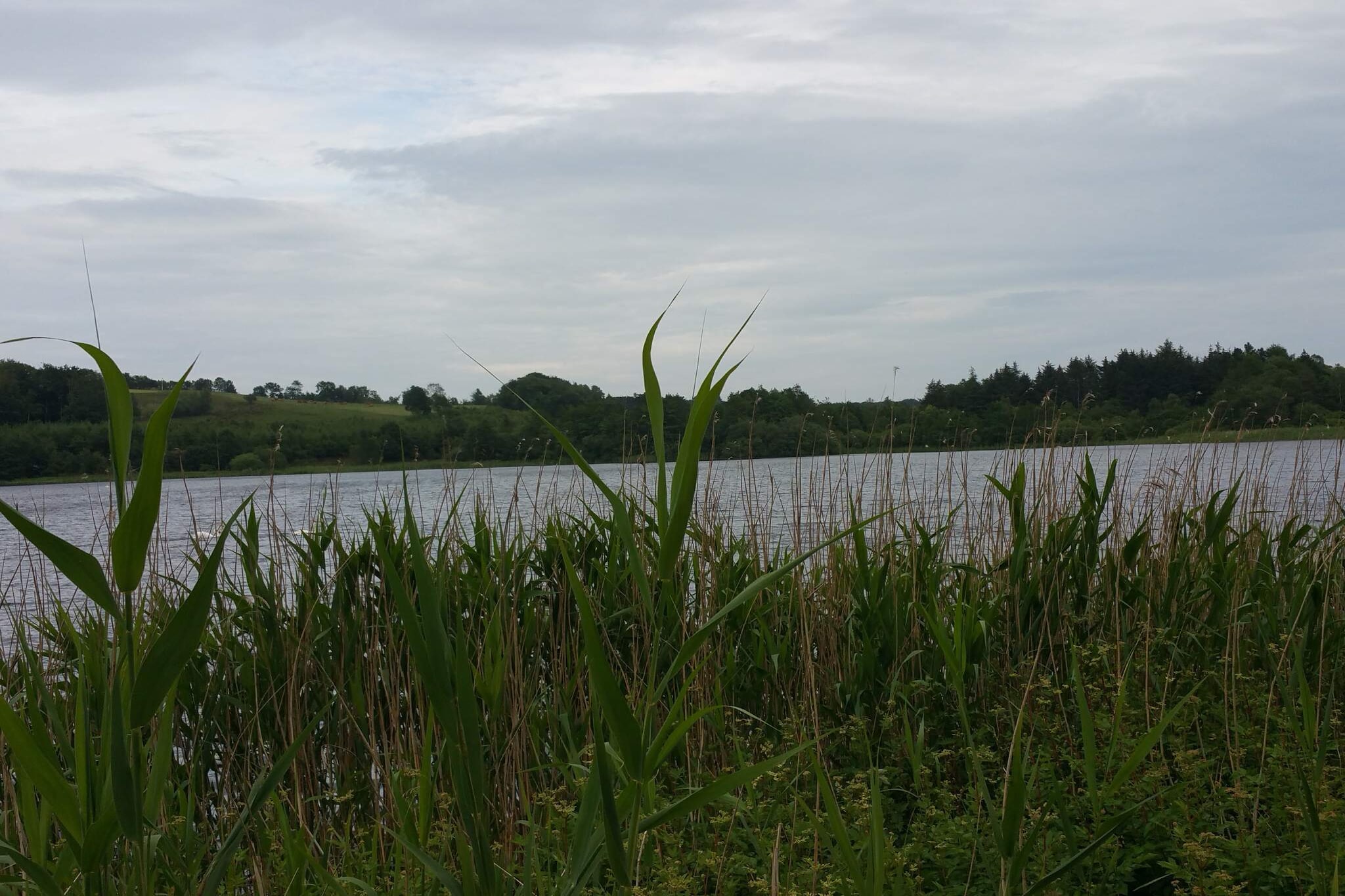 6 persoons vakantie huis in Bryrup-Waterzicht