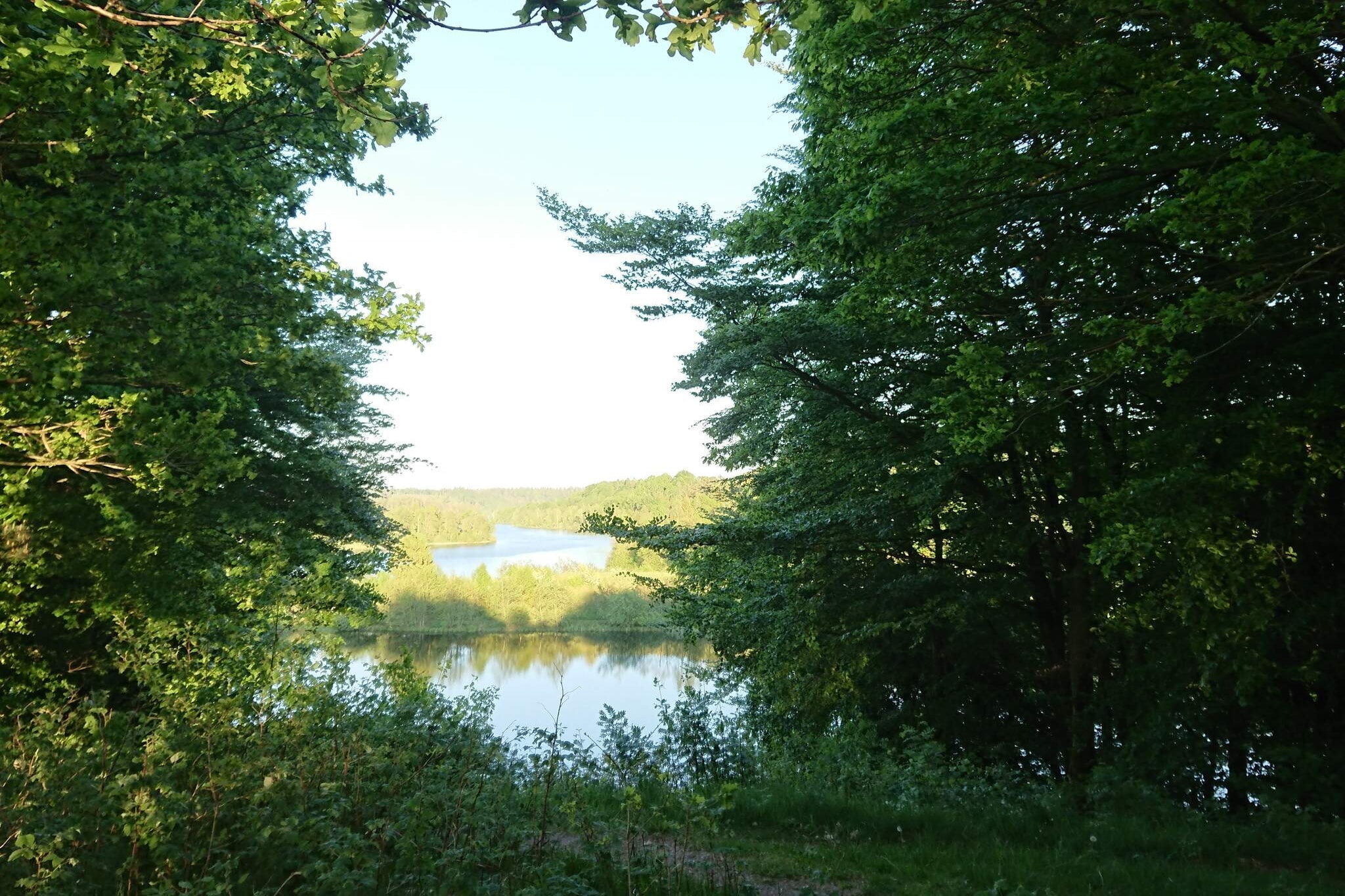 6 persoons vakantie huis in Bryrup-Waterzicht