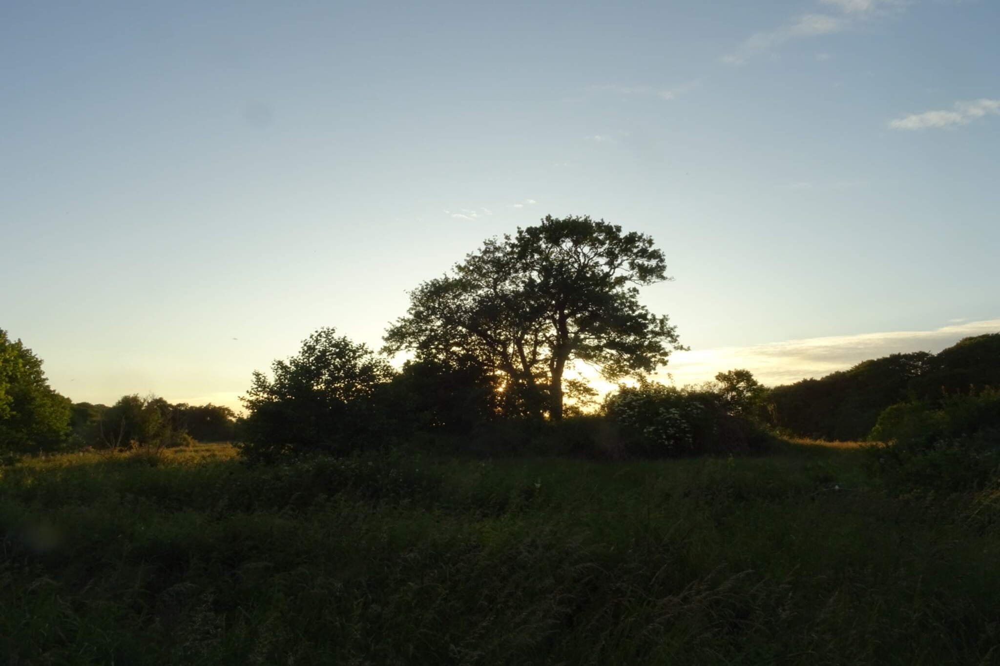 Zonnig heuvelhuisje-By Traum-Niet-getagd