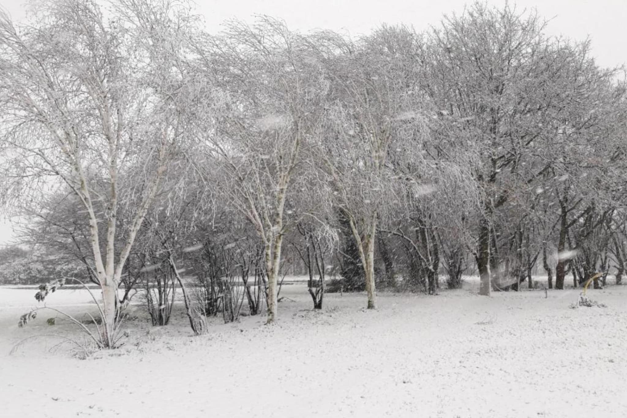 Parc de Kievit 11-Gebied winter 20km