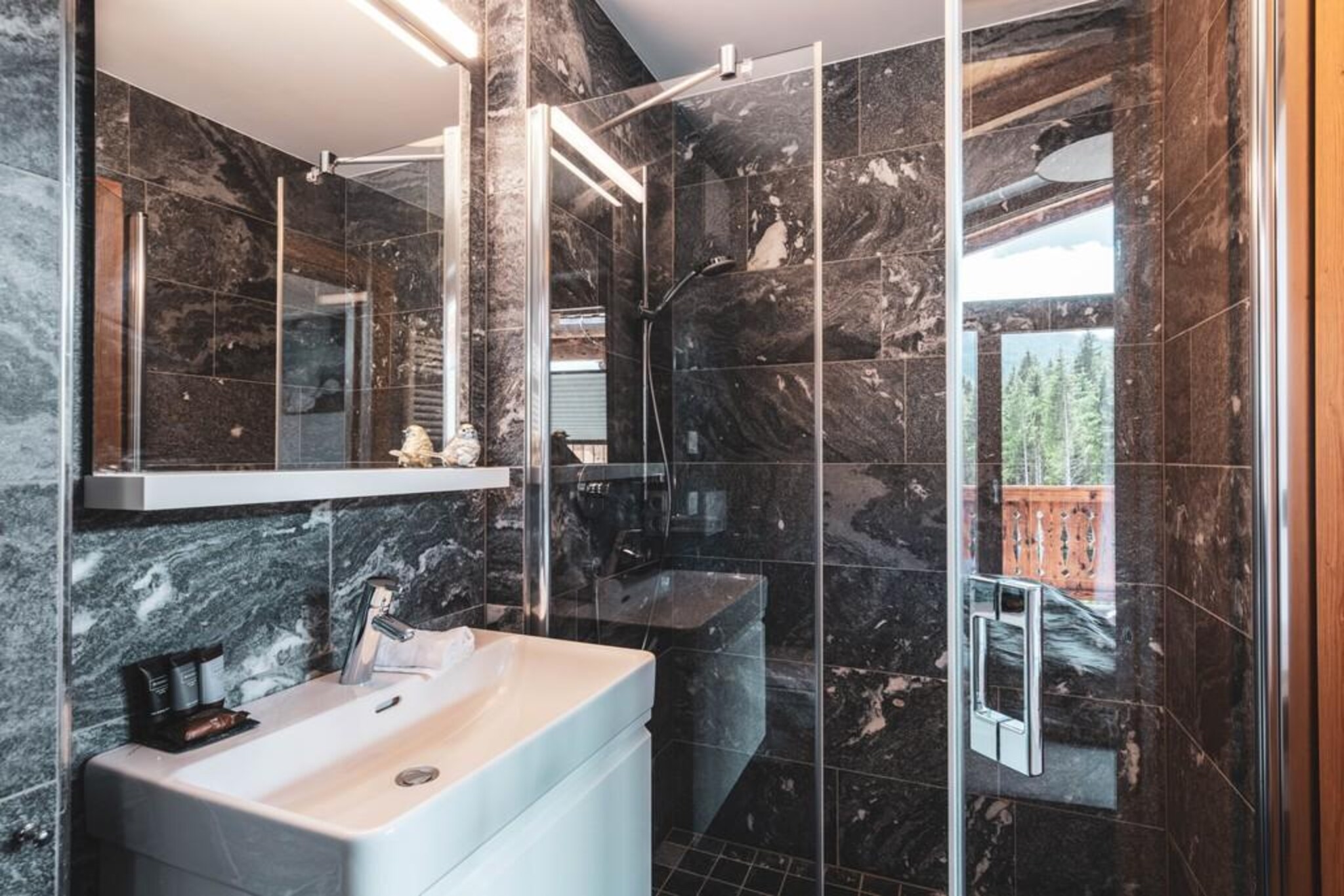 Nationalpark Chalet Goldbergspitze-Badkamer