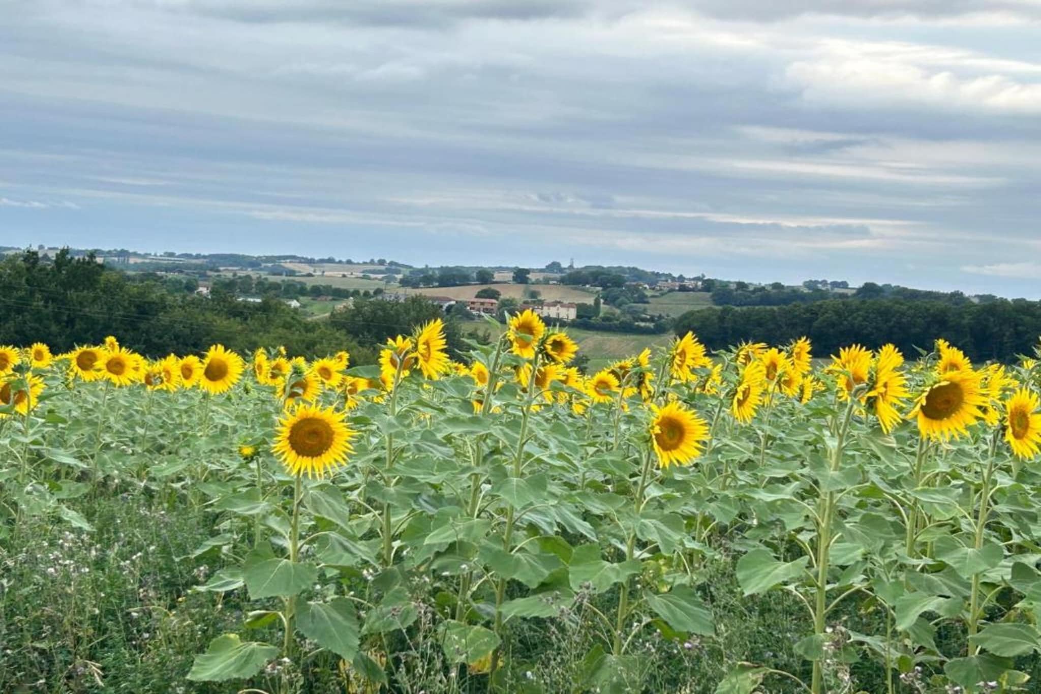 Cabane de d’Artagnan-Gebieden zomer 5km