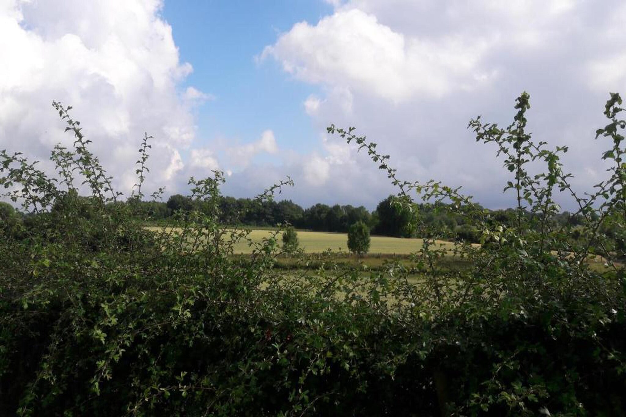 Resort Gulpen 5-Areas summer 20km