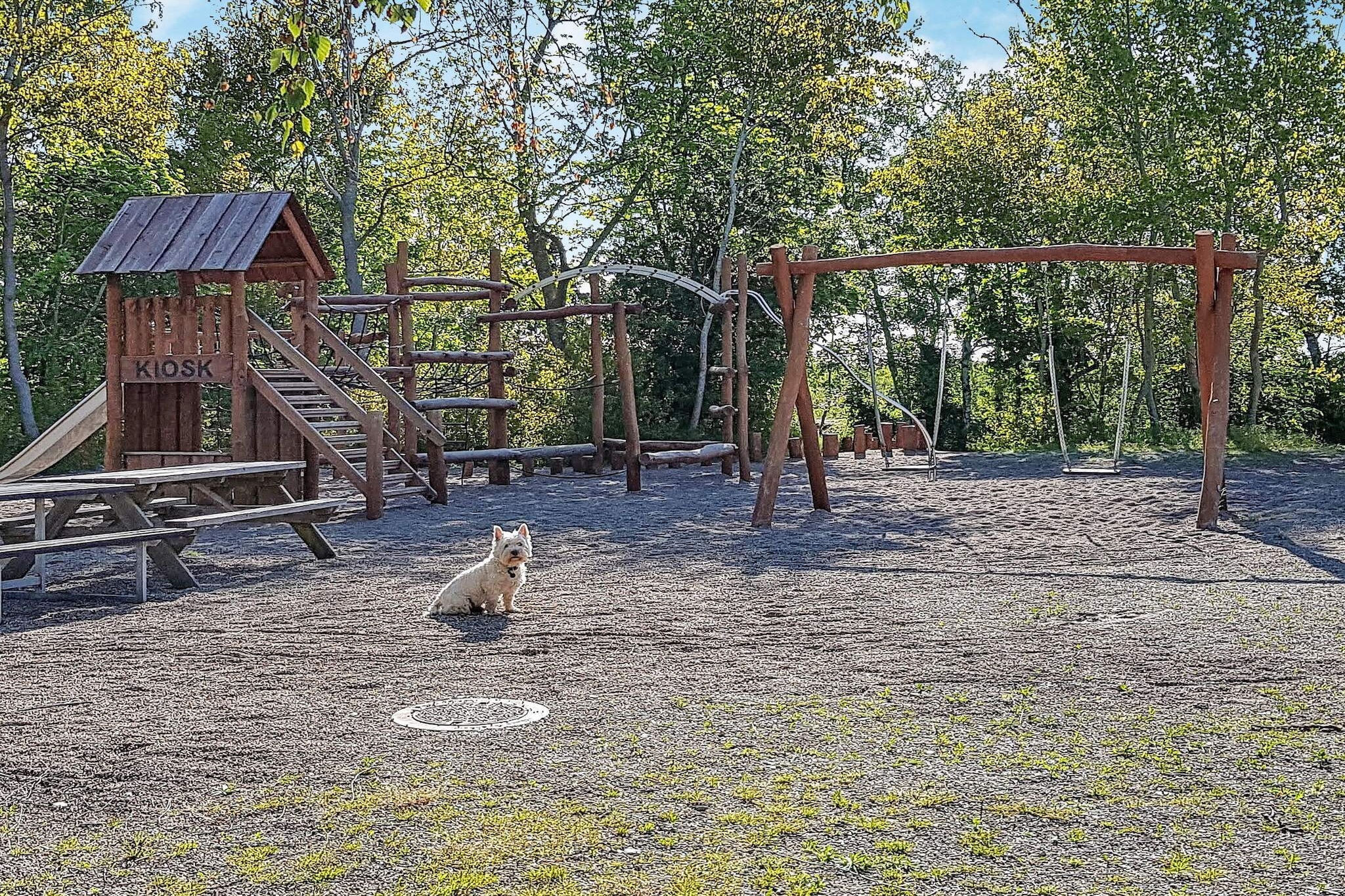 14 persoons vakantie huis in Væggerløse - Niet-getagd
