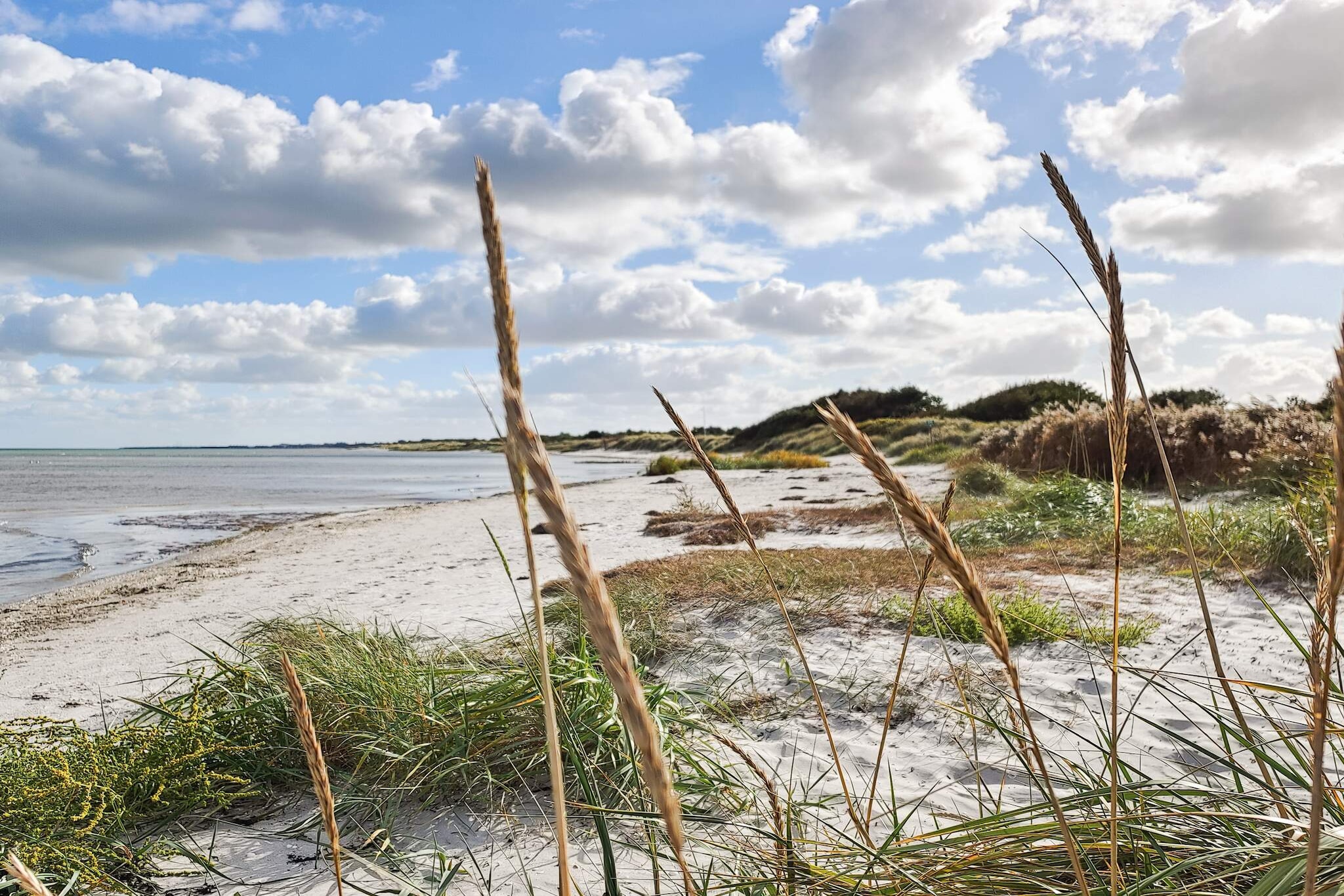 6 persoons vakantie huis in Hadsund - Waterzicht
