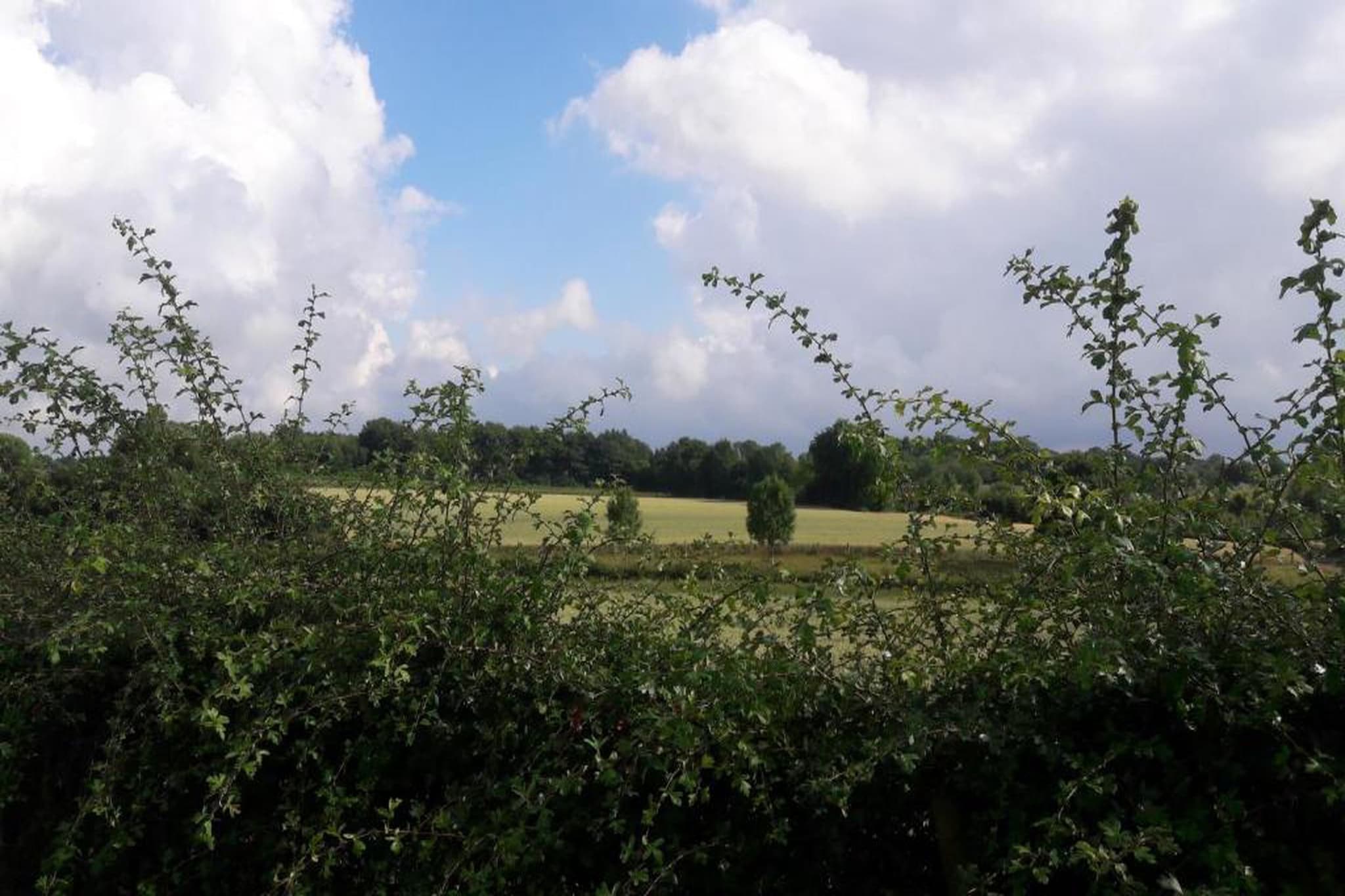 Resort Gulpen 10-Gebieden zomer 20km