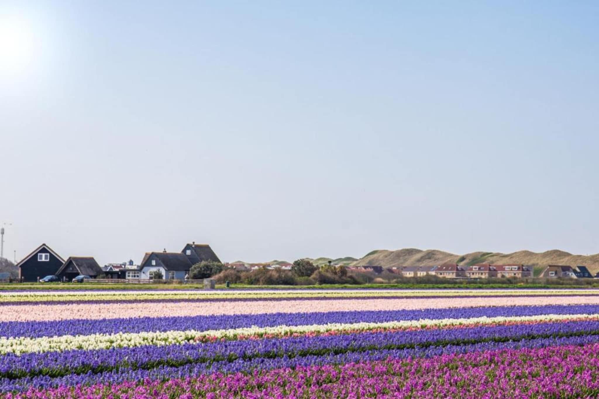 Resort Callantsoog 5-Gebieden zomer 20km