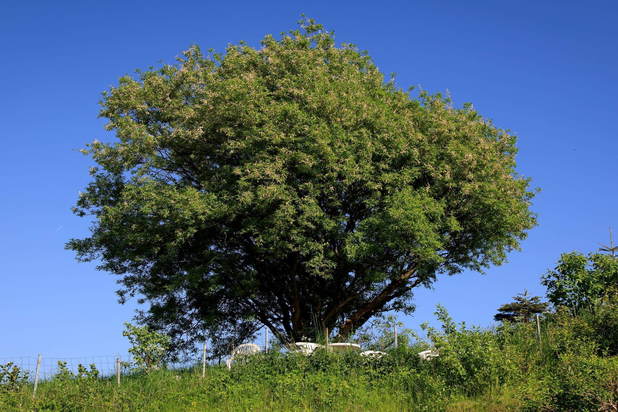 6 persoons vakantie huis in Knebel