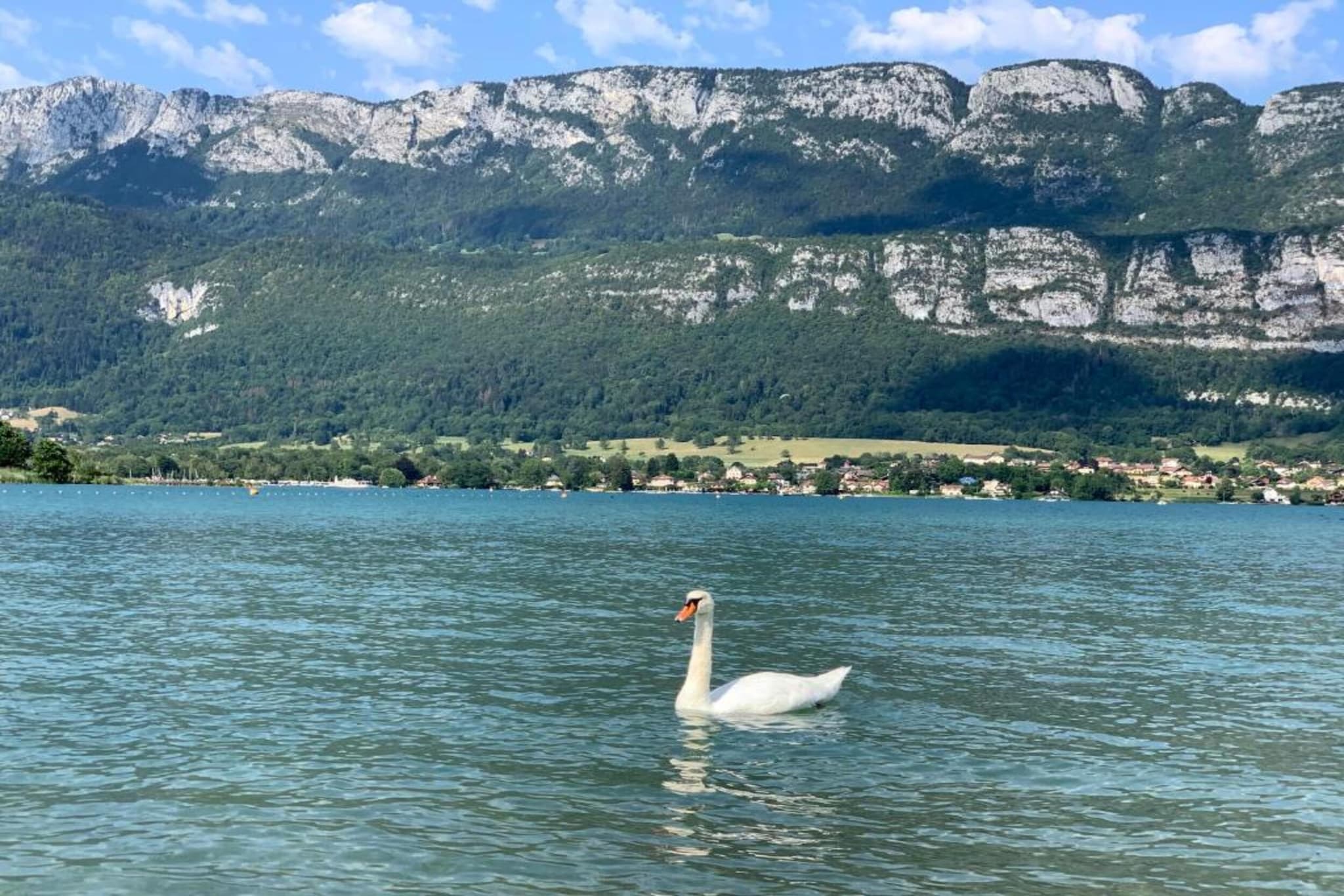 Le Birdie 6-Gebieden zomer 20km