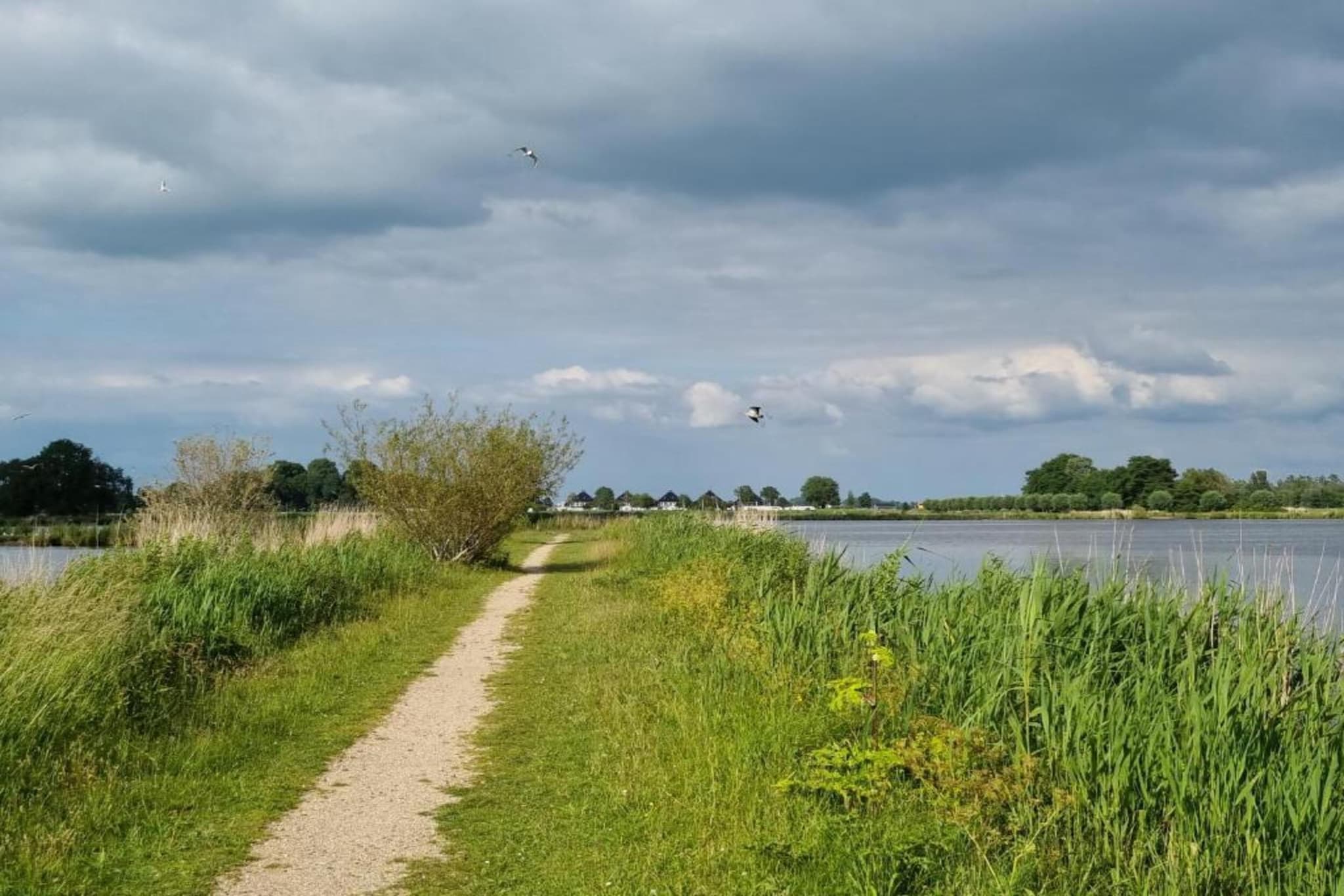 Houseboat Earrebarre - Paviljoenwei 1 - Offingawier-Gebieden zomer 5km