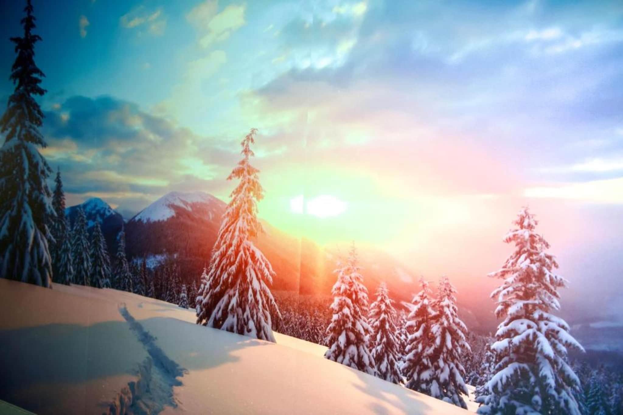 Mobilheim-Gebied winter 20km