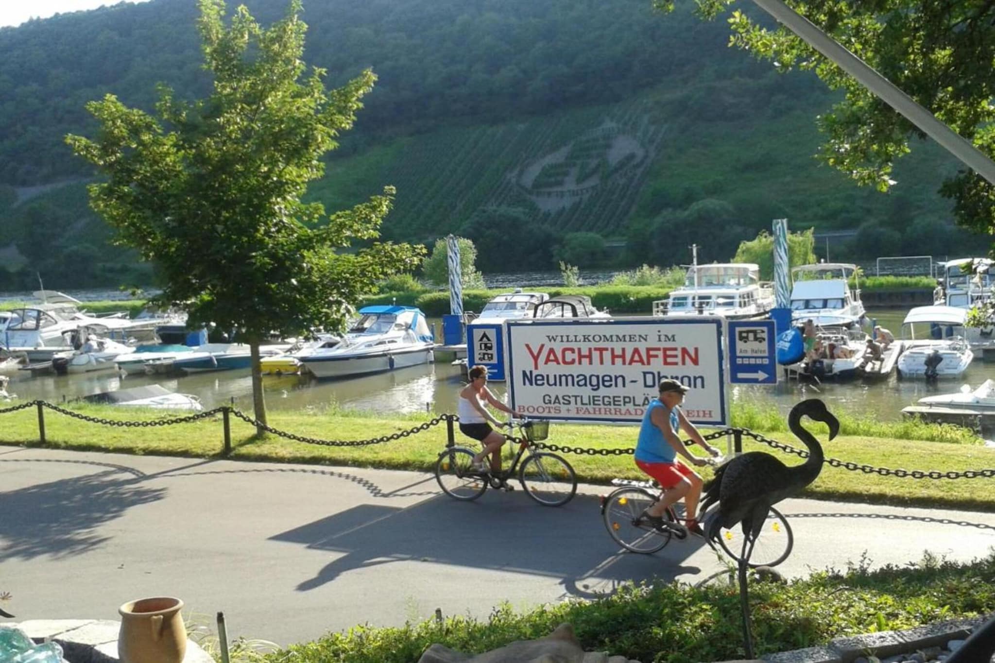 Ferienwohnung mit Moselblick-Gebieden zomer 20km