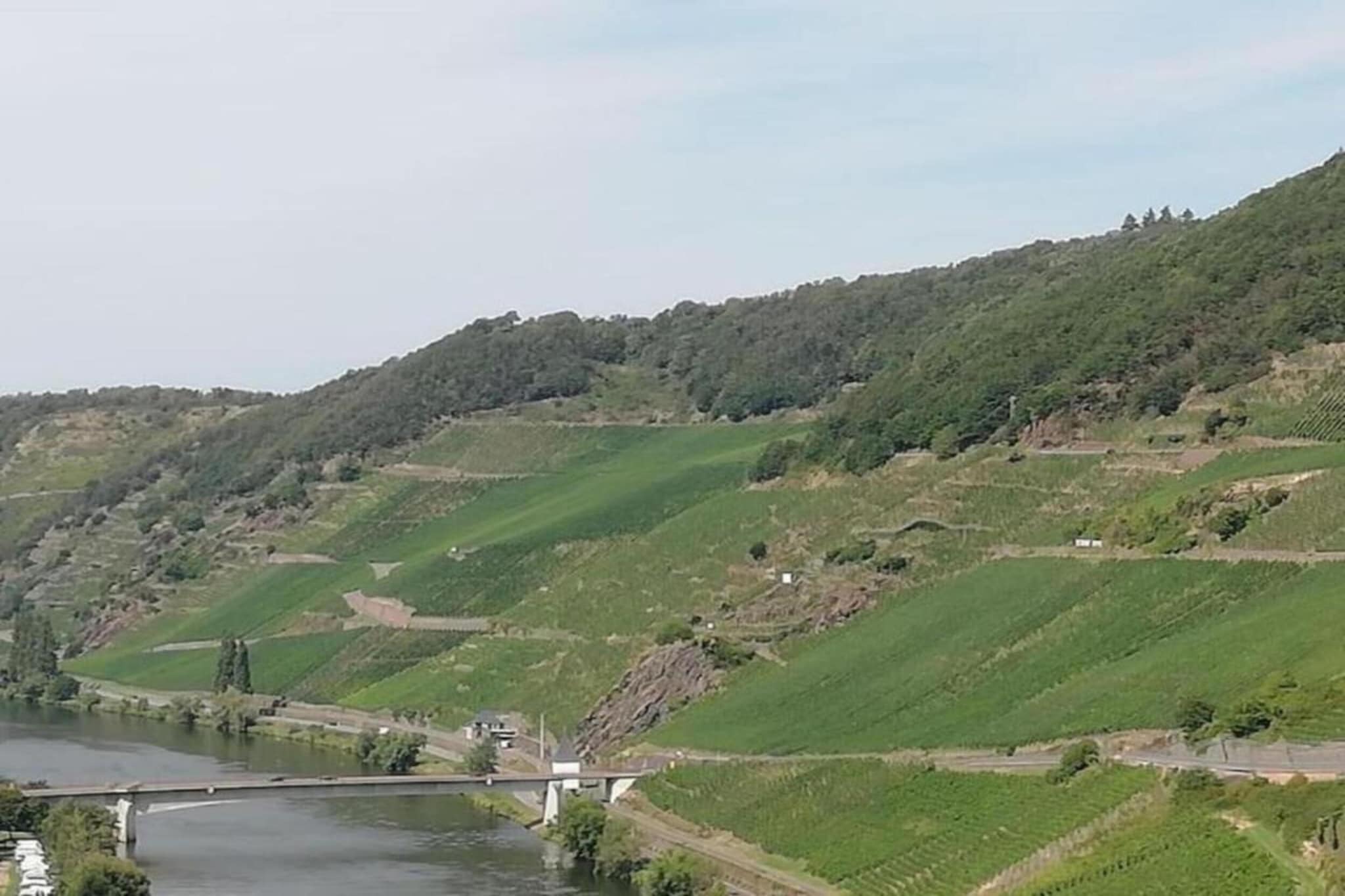 Ferienwohnung mit Moselblick-Gebieden zomer 20km