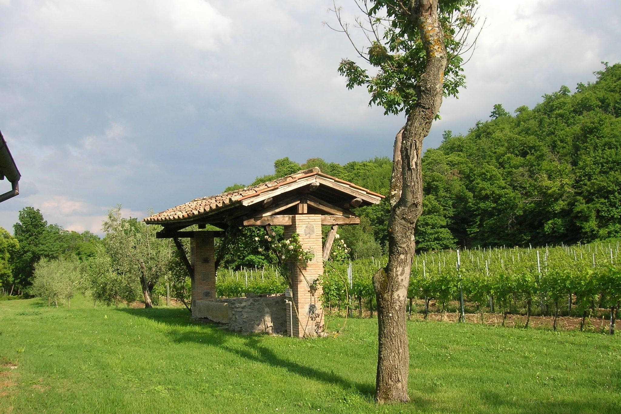 Charmante cottage in Orvieto met een privétuin
