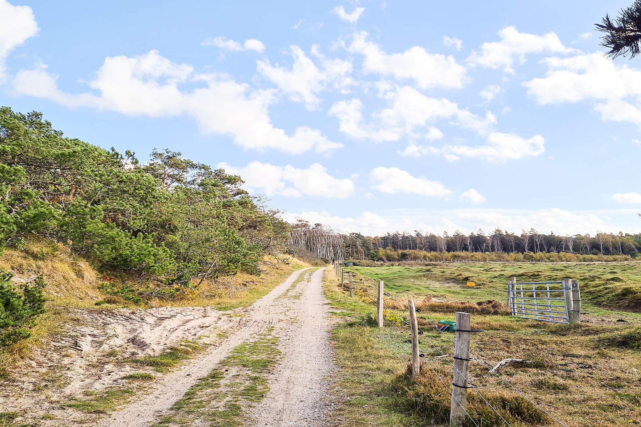 4 persoons vakantie huis in Frederiksværk-Uitzicht
