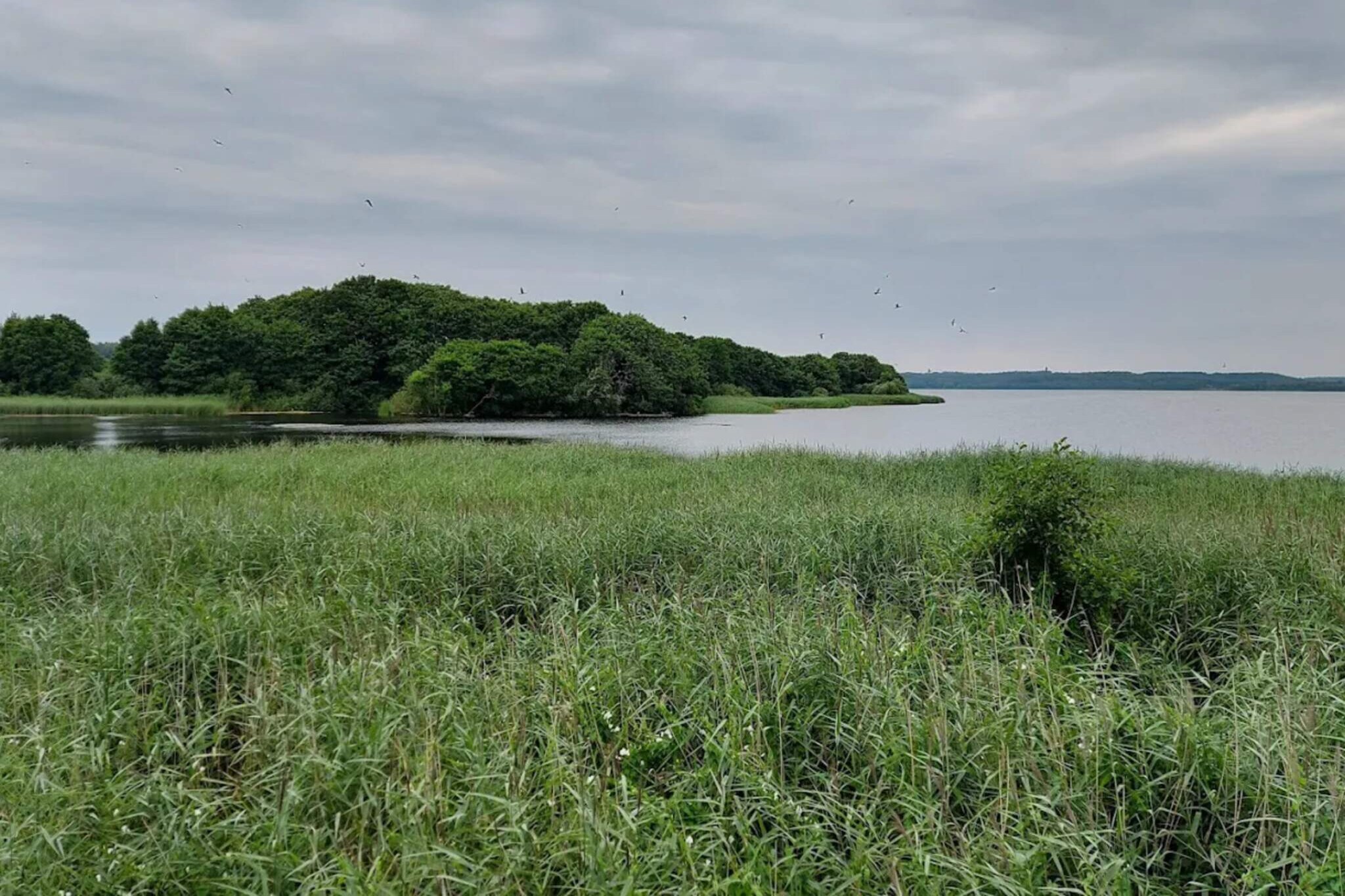 8 persoons vakantie huis in Ebeltoft-Waterzicht