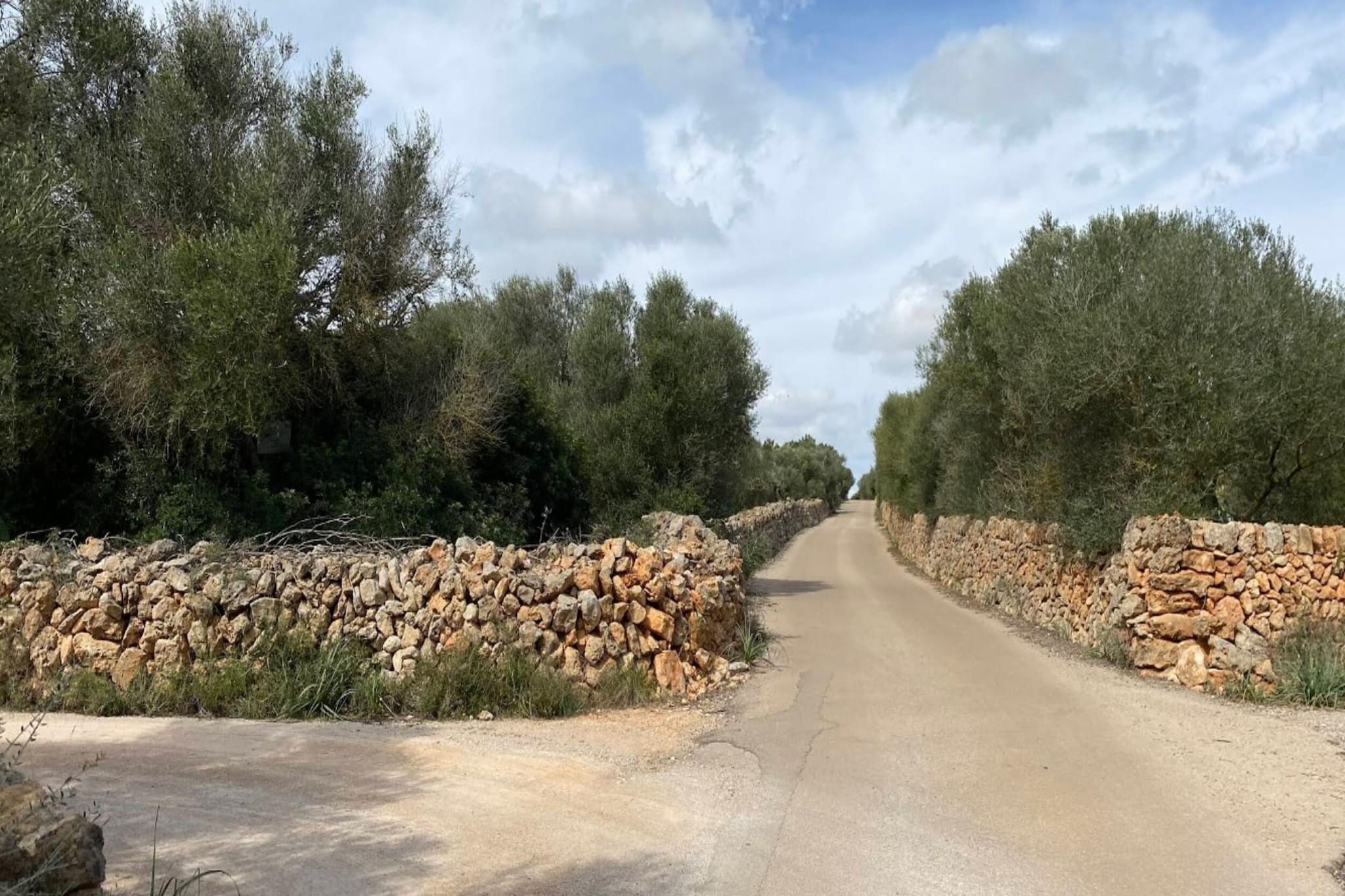 Can Xesquet-Gebiete Sommer 5 km