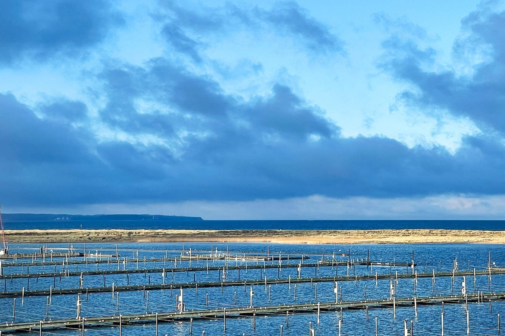 Apartment mit Ostseeblick-Sandpieper