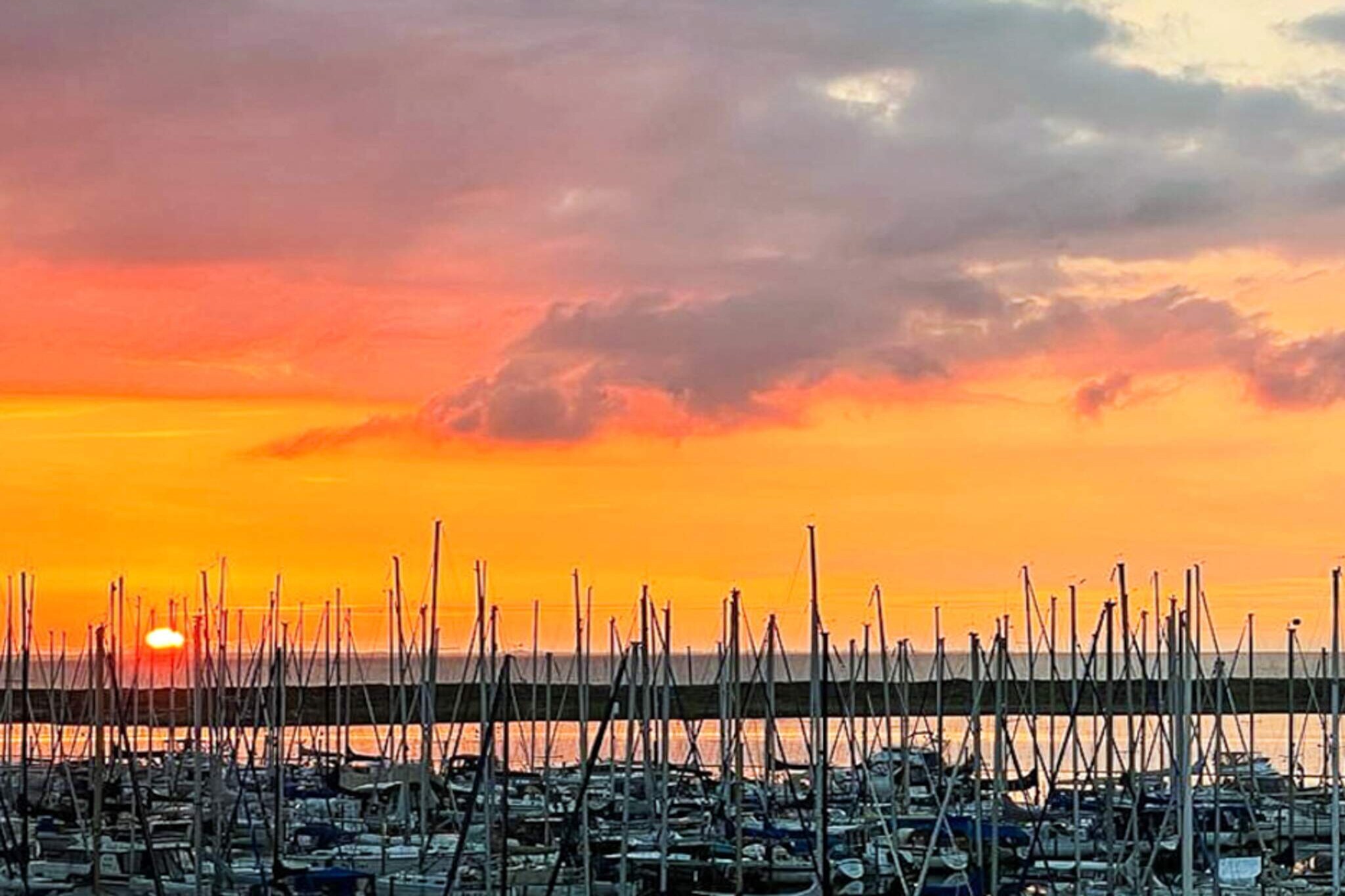 Internet Access DSL, open kitchen(cooker(electric), hood, coffee machine, microwave, dishwasher, fridge(+ freezer)), Living/bed room(double folding bed, TV(cable, german television channels), Blu-ray player, radio, CD player, stereo unit, gas fireplace), bedroom(double bed), bedroom(double bed), bathroom(floor heating)(Steam bath, washbasin, shower, toilet), fridge-freezer, balcony or terrace(27 m2)