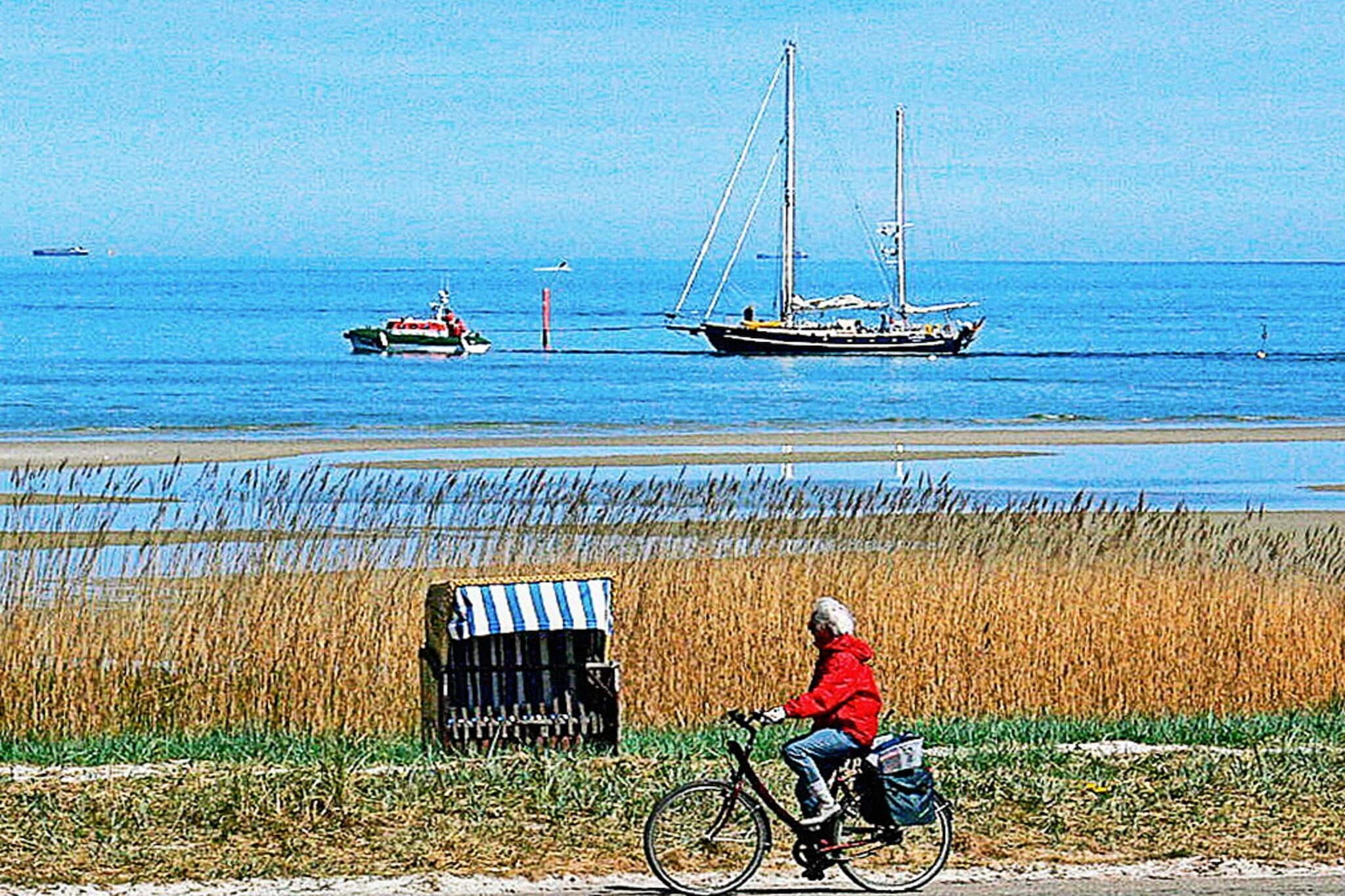 Hochwertiges Küstenapartment am Meer - Nicht zugeordnet