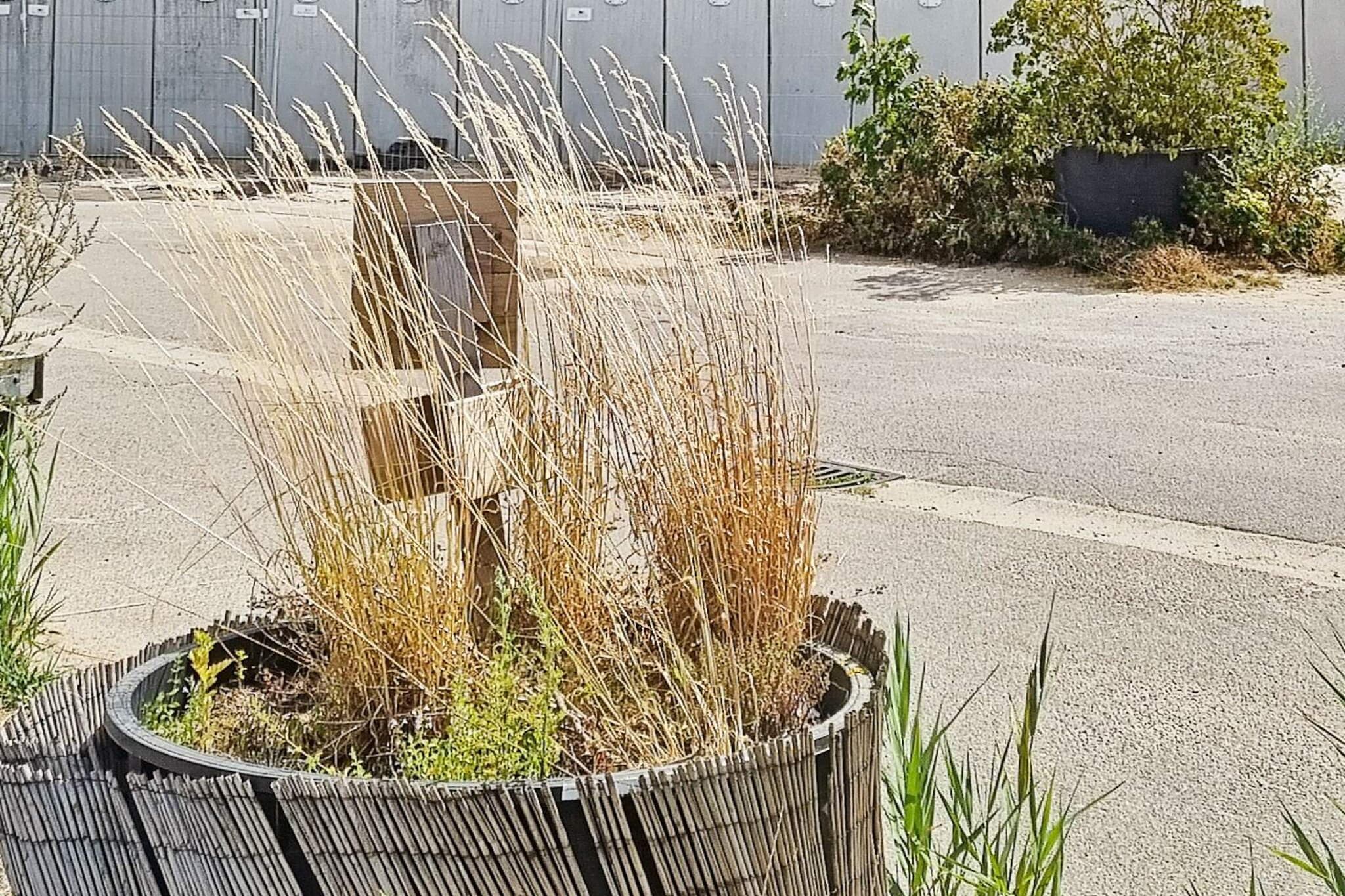 Hochwertiges Küstenapartment am Meer - Nicht zugeordnet