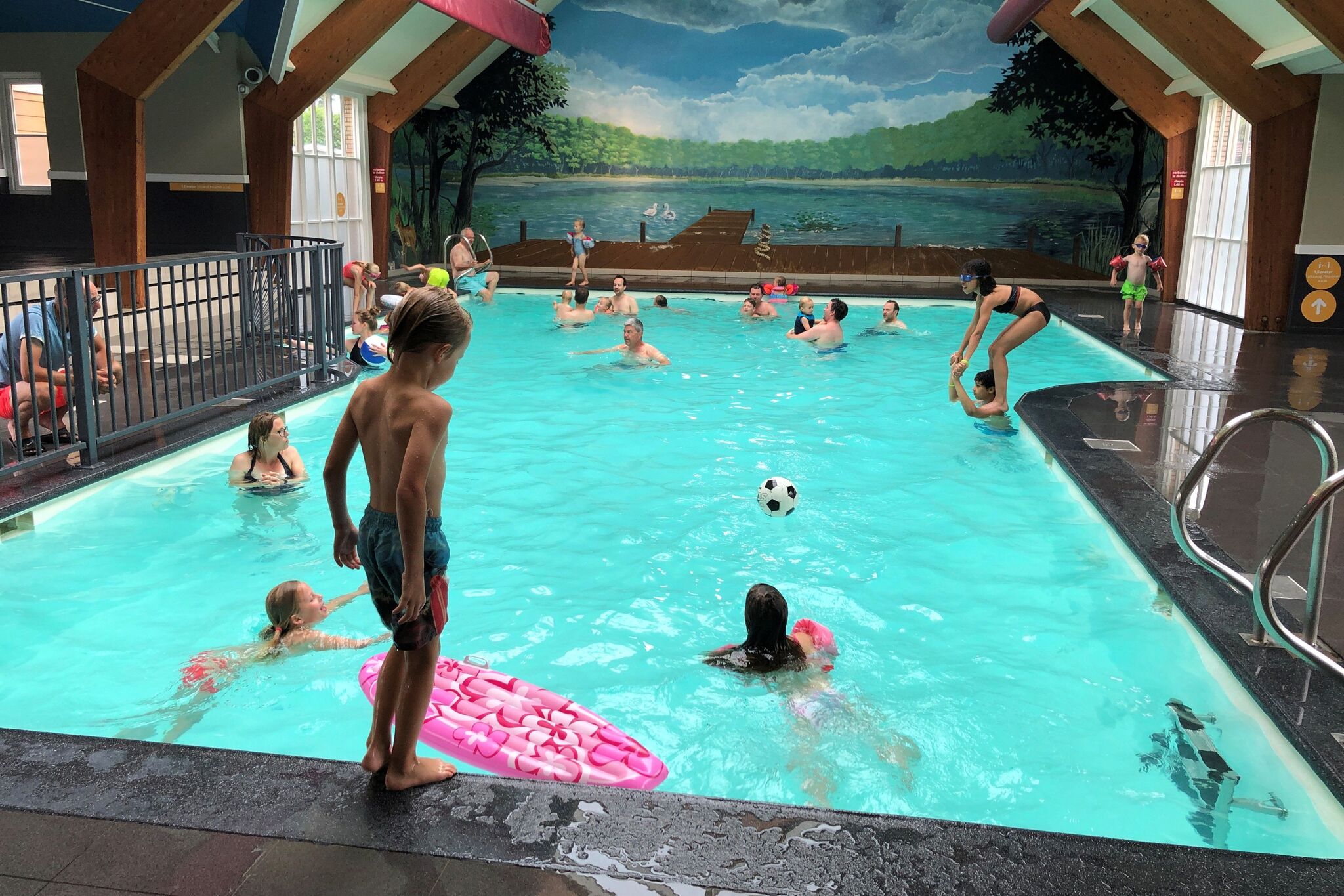 Chalet in Voorthuizen with indoor pool