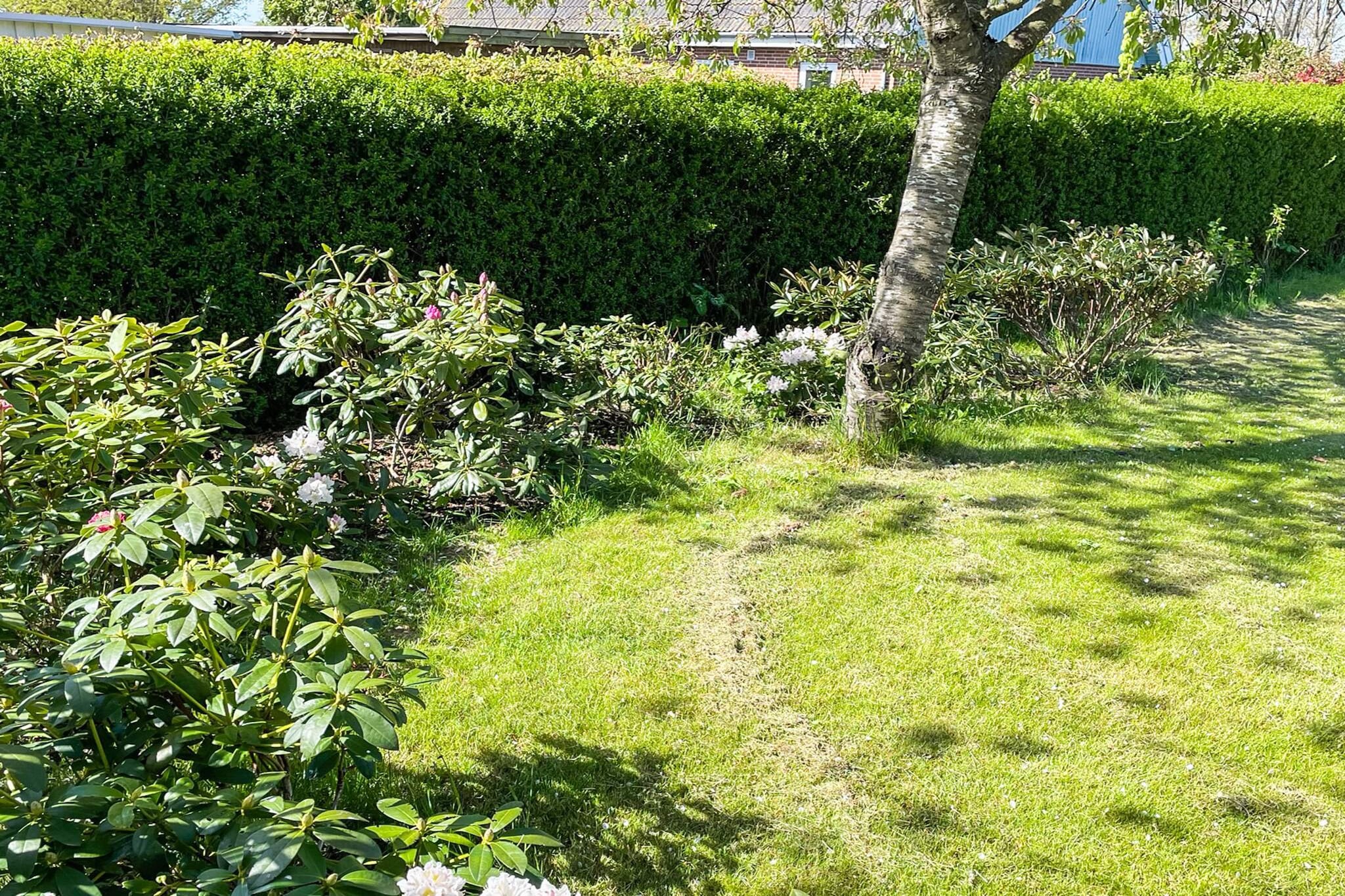 8 persoons vakantie huis in Nexø-Buitenlucht