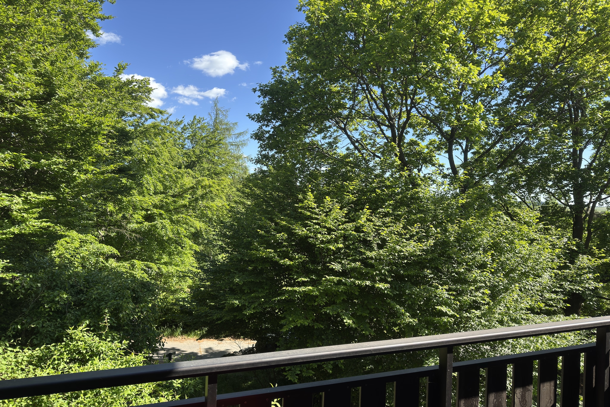 viewsummer