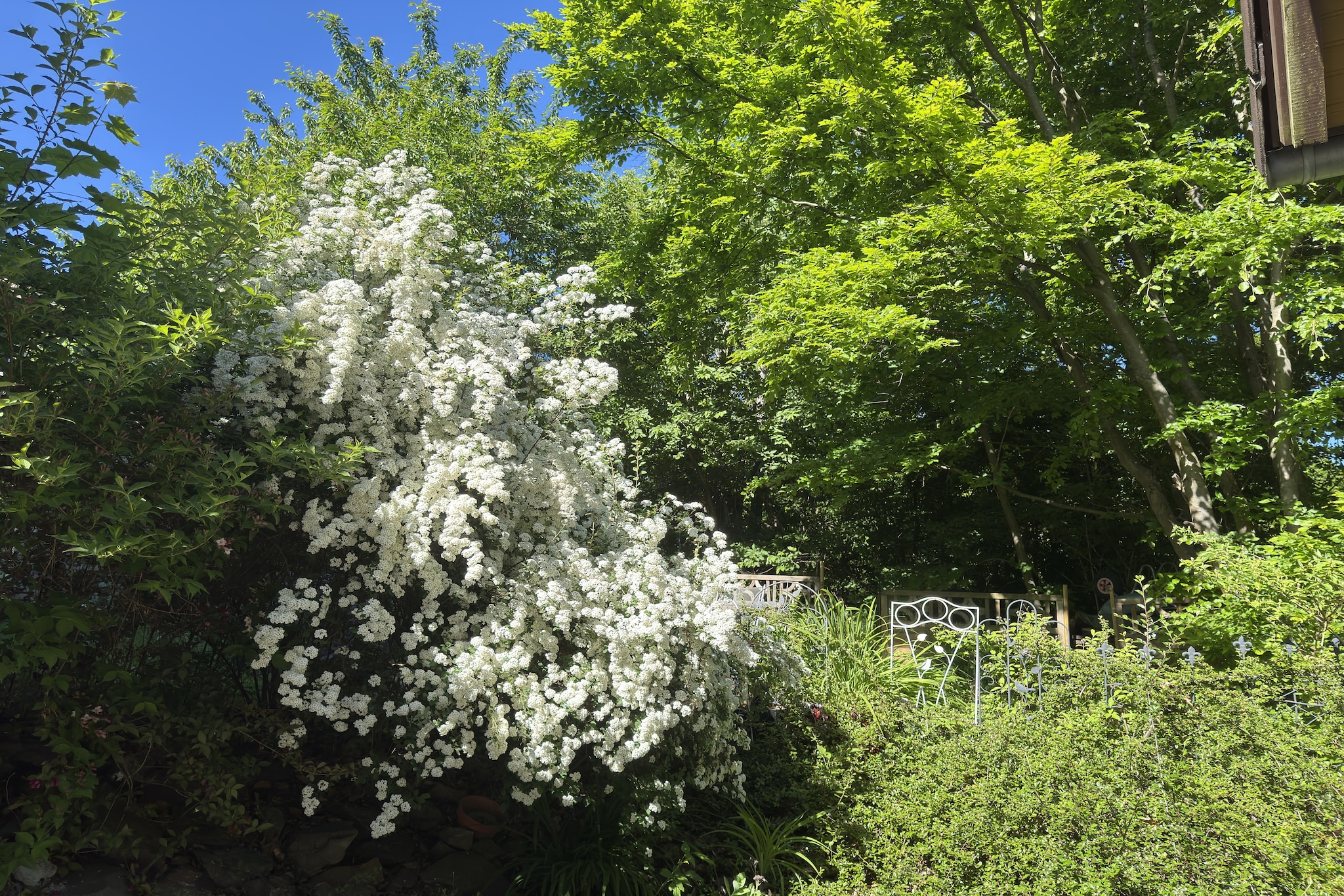 Untere Ferienwohnung-Gardens summer