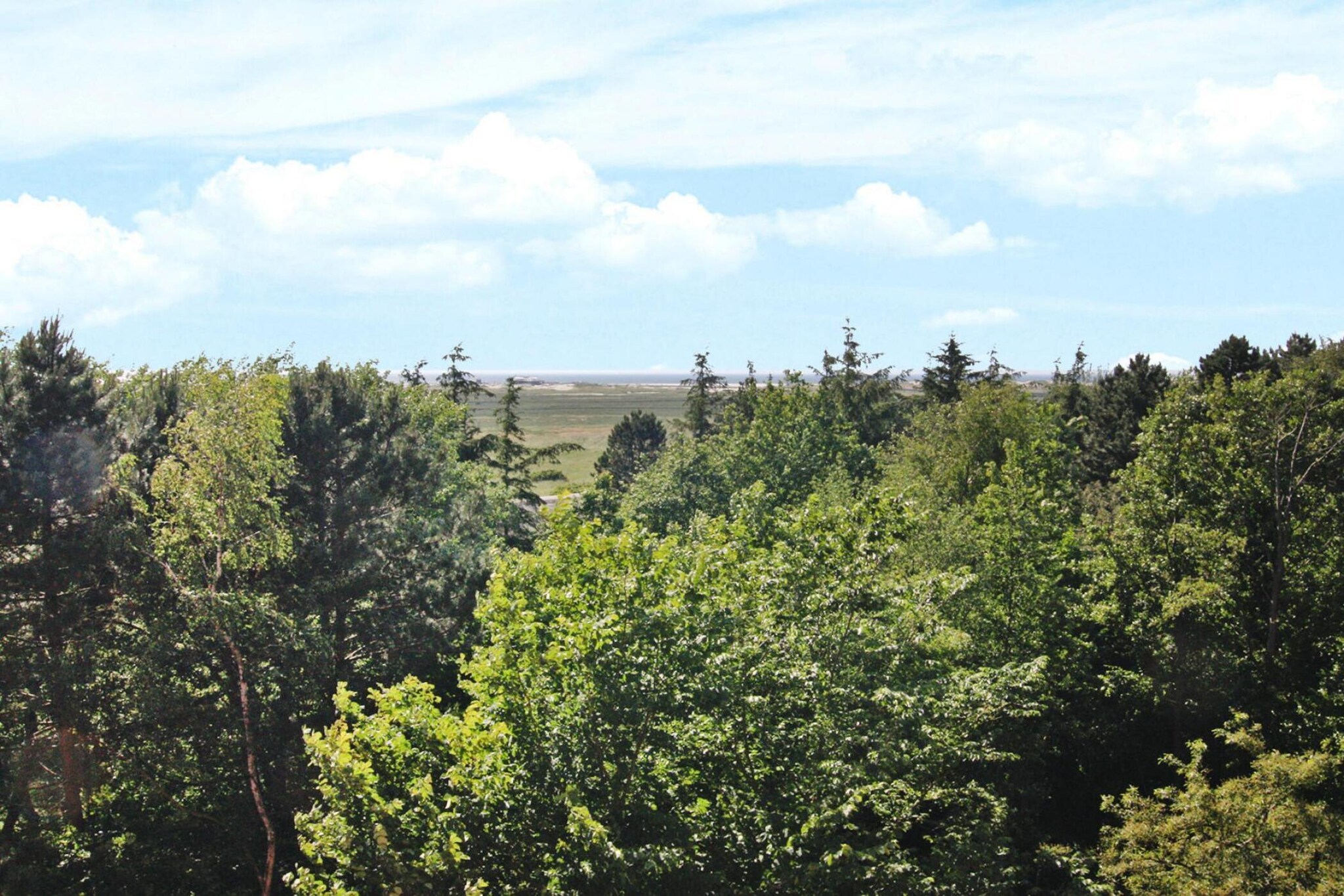 Ferienwohnung Nordseeblick in St Peter-Ording-Gebieden zomer 1km