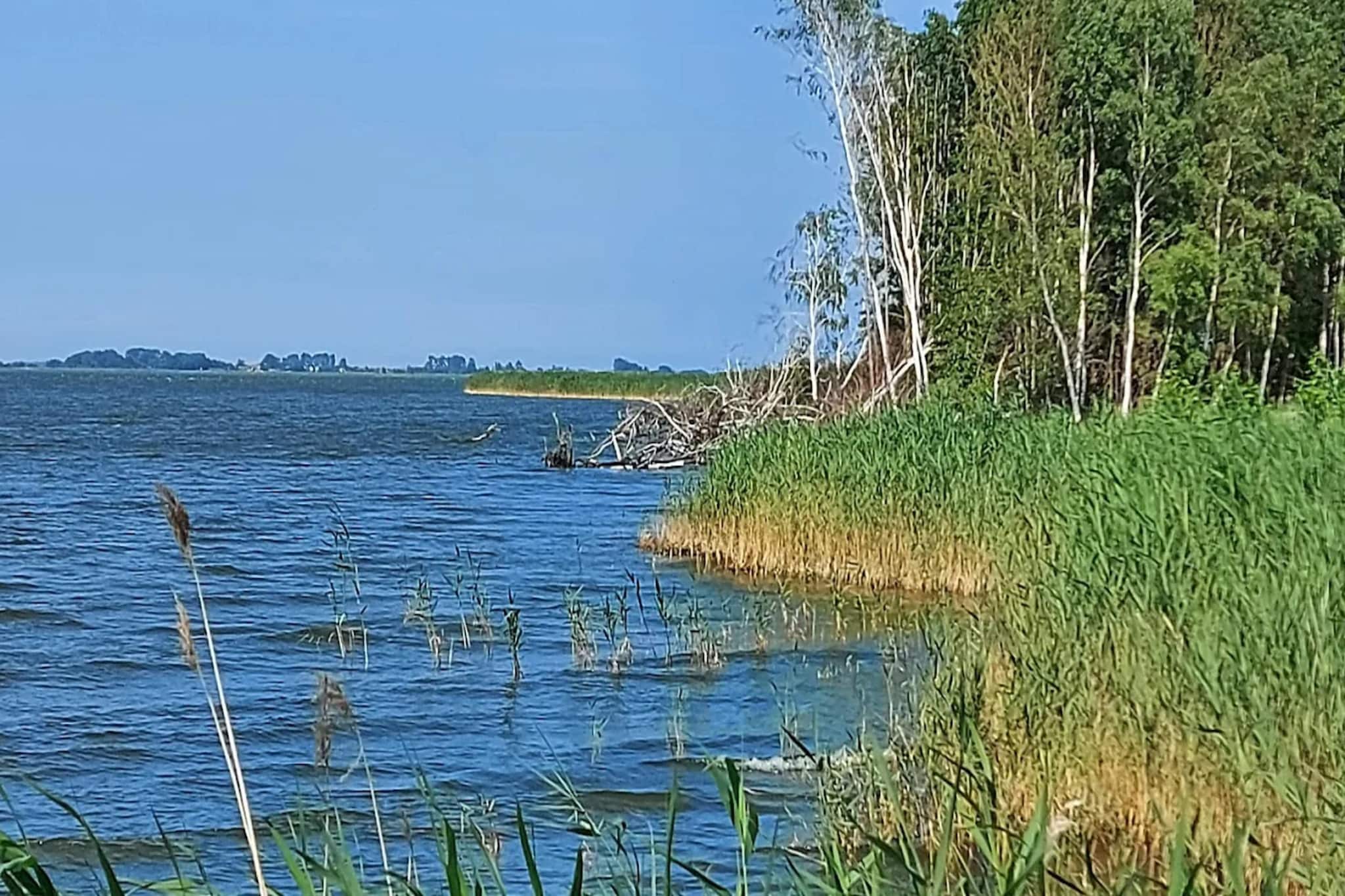 Seeschwalbe 44-Gebieden zomer 5km