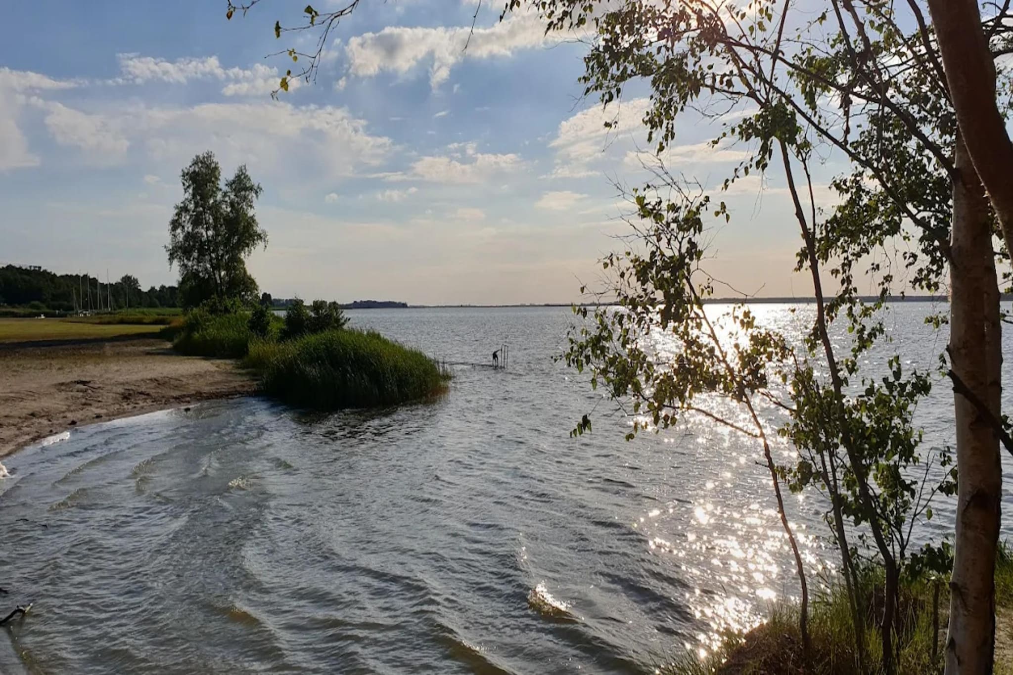 Seeschwalbe 44-Gebieden zomer 5km
