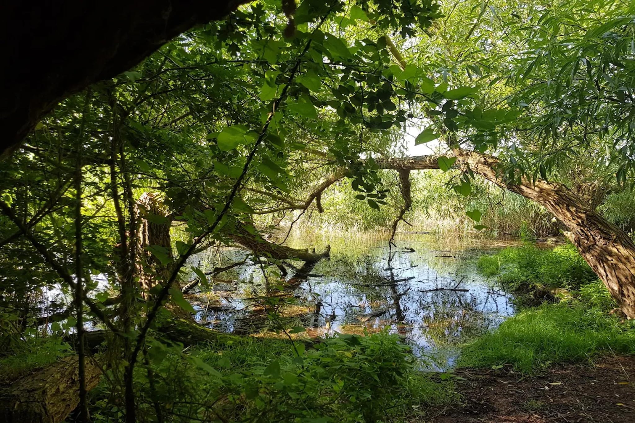 Appartement 4 rechts außen-Gebieden zomer 5km