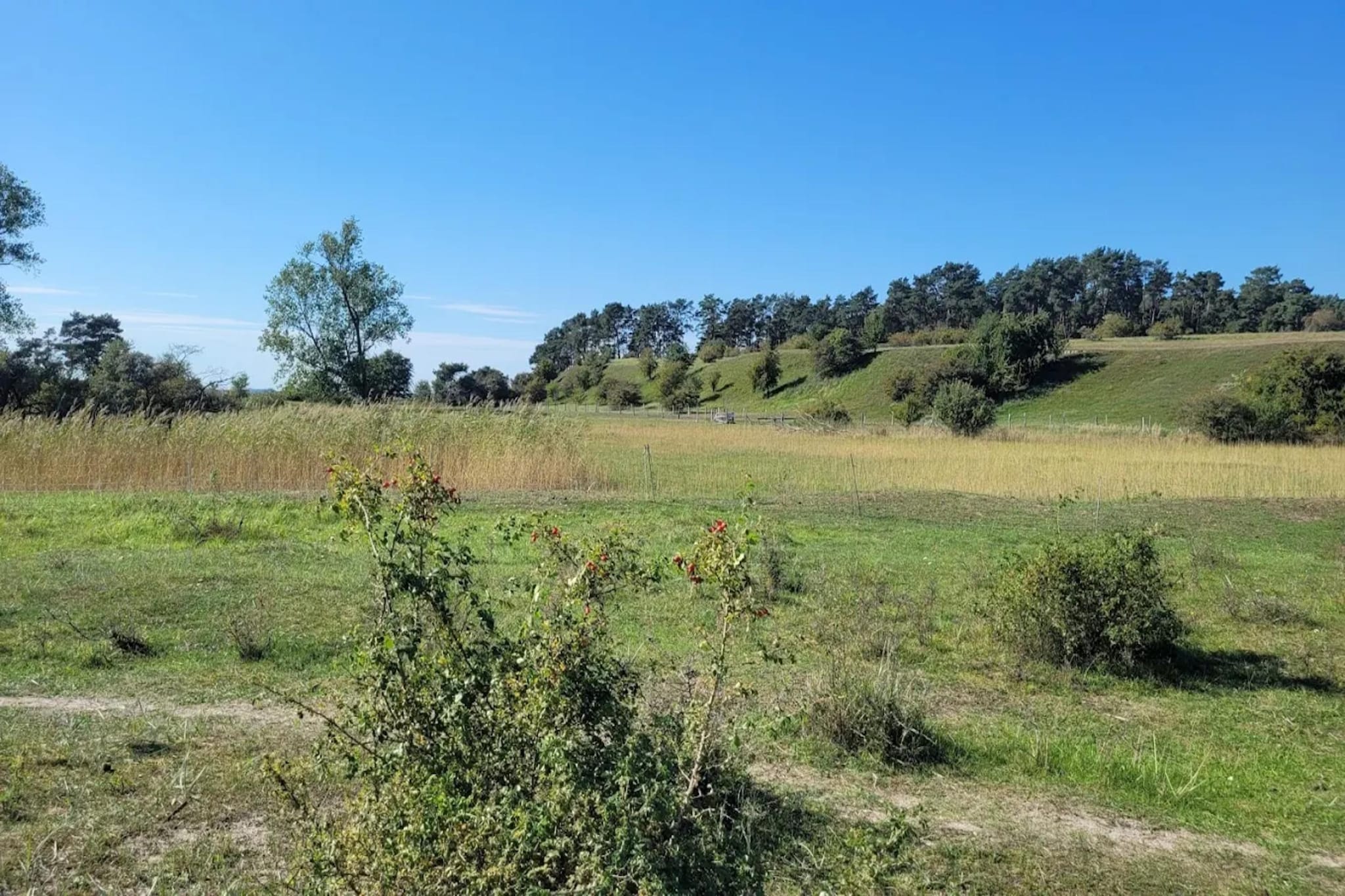 Appartement 4 rechts außen-Gebieden zomer 5km