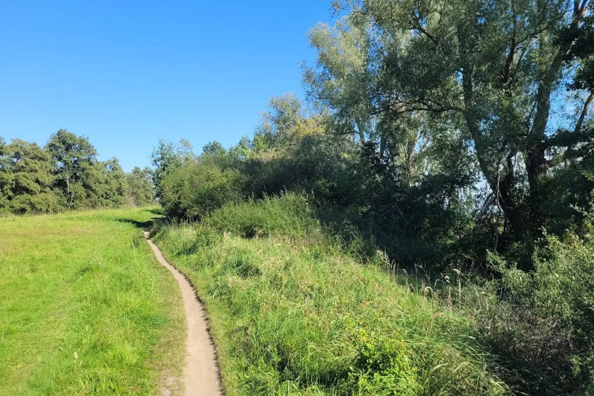 Appartement 4 rechts außen-Gebieden zomer 5km