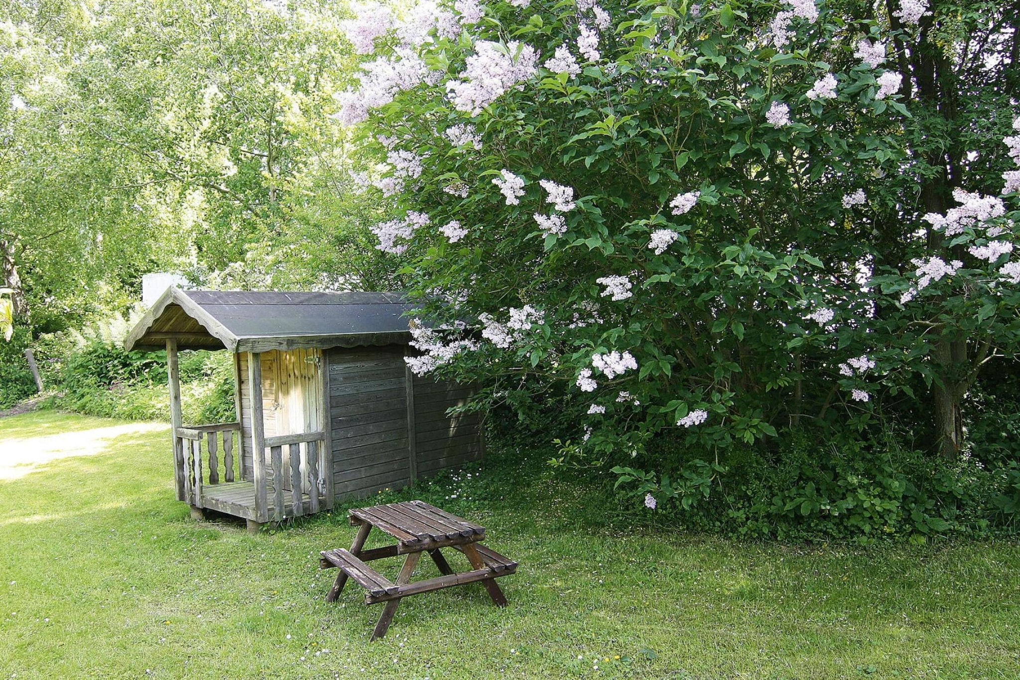 Ferienhaus Damp 90 qm 4 Personen-Tuinen zomer