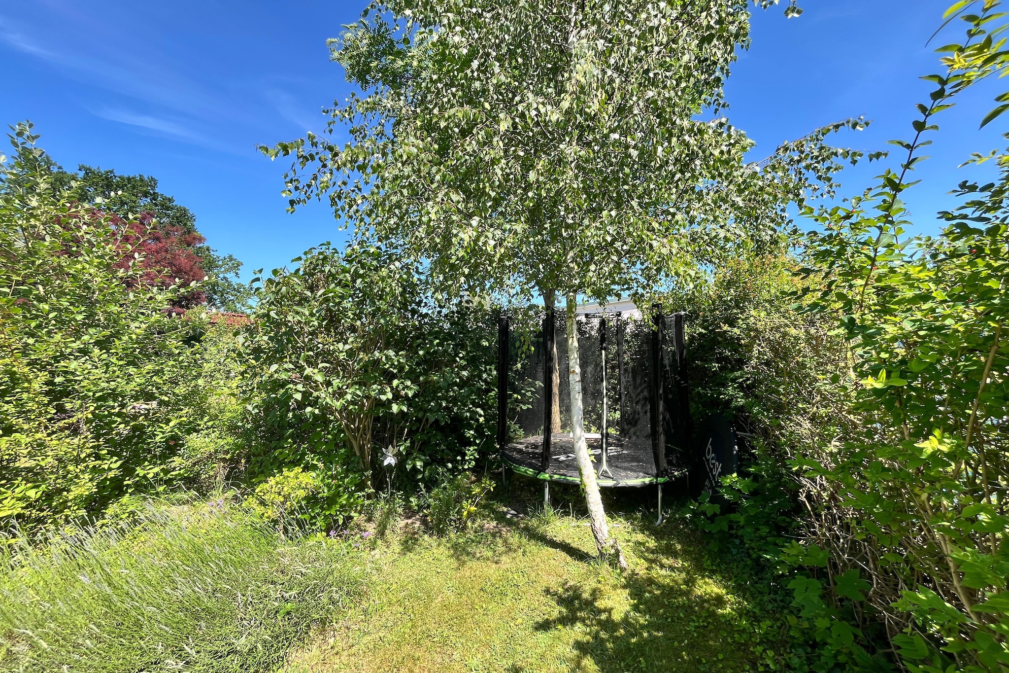 Louise 38 qm - Tuinen zomer