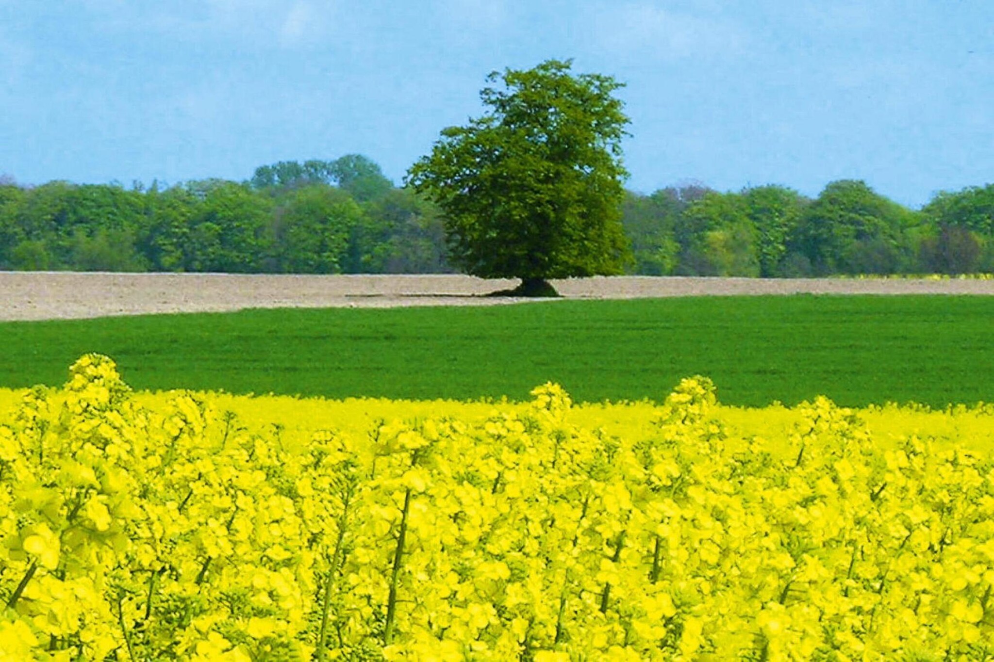 Mecklenburg Western Pomerania
